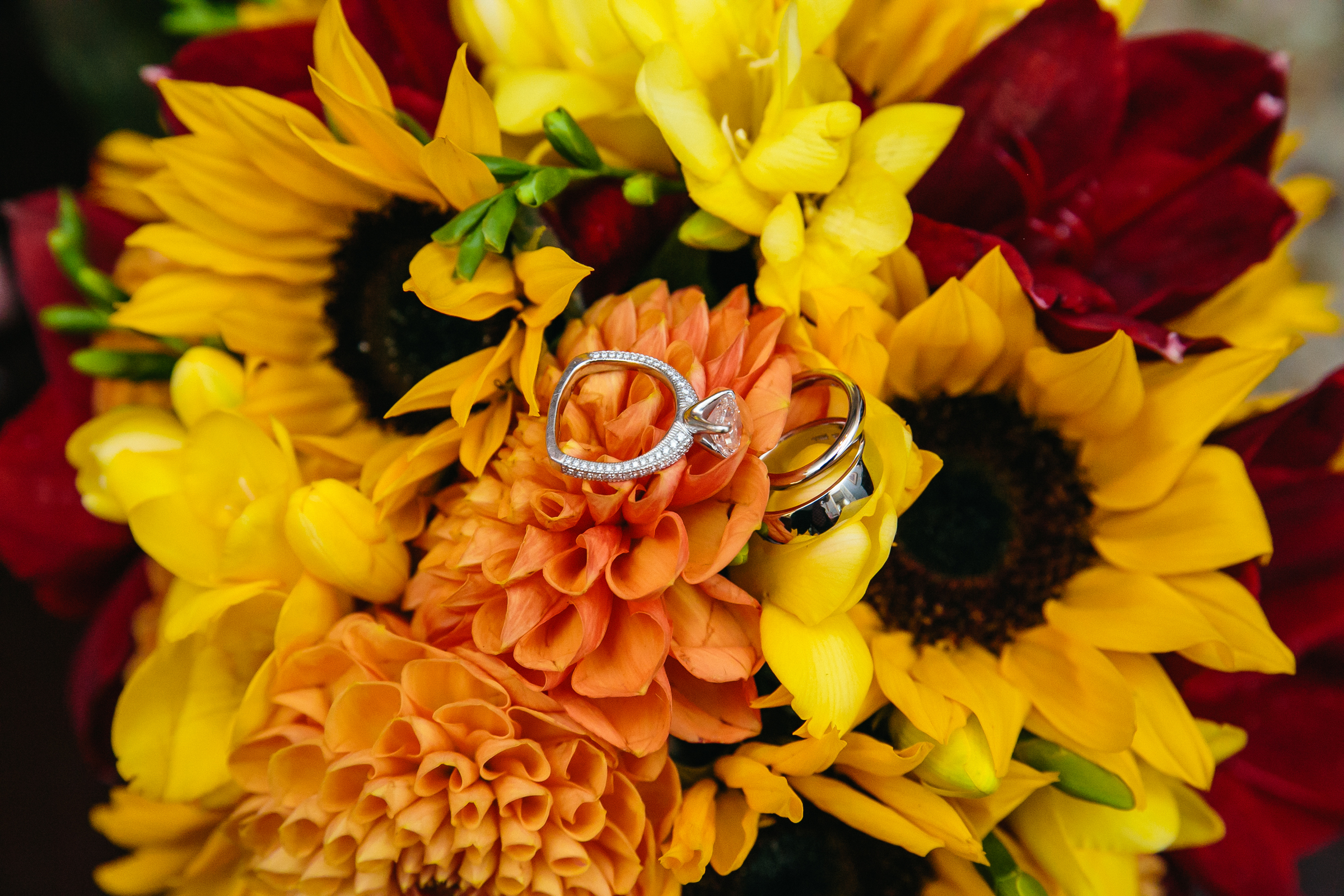 Jackson Photography