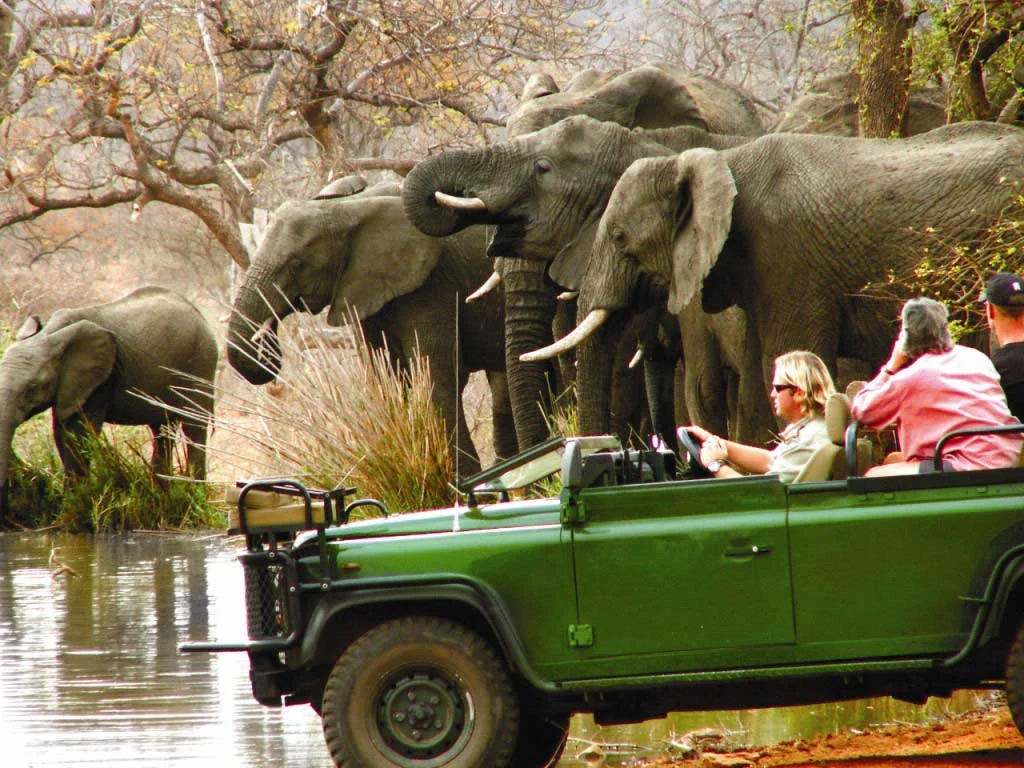 big5-safaris-1g.jpg