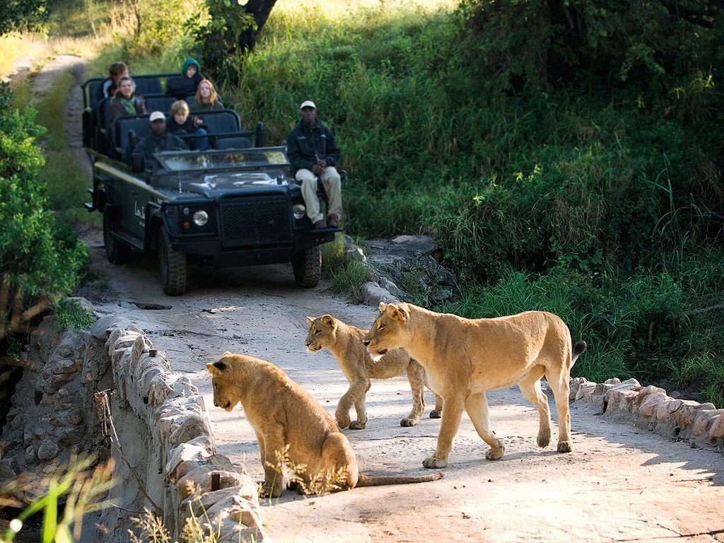 item0_size_lion-sands-sabi-sand-kruger-nat-l-park-kruger-nat-l-park-south-africa-108016-2.jpg