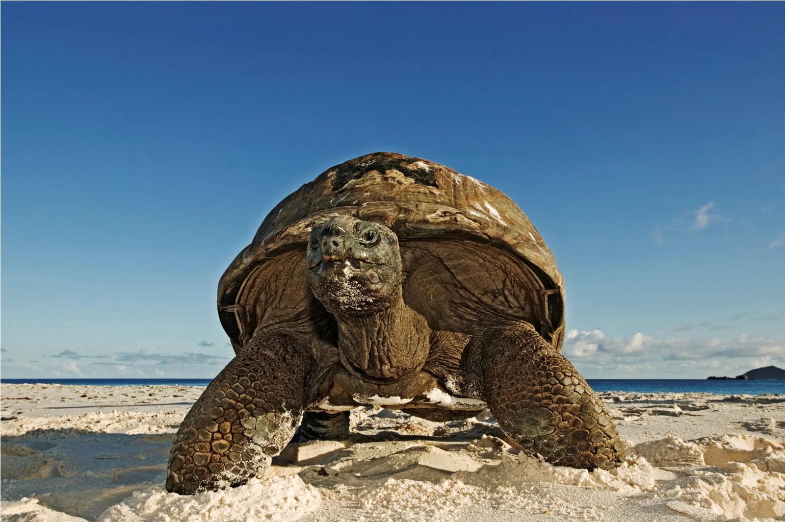 seychelles_islands_africa_387951.jpg
