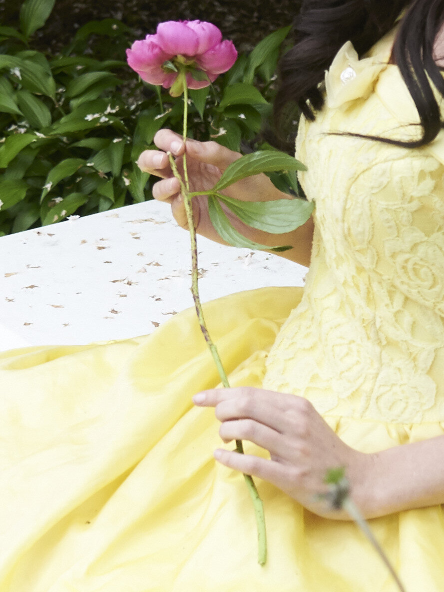 Ottawa Princess Parties Events Ottawa Princess Parties Events
