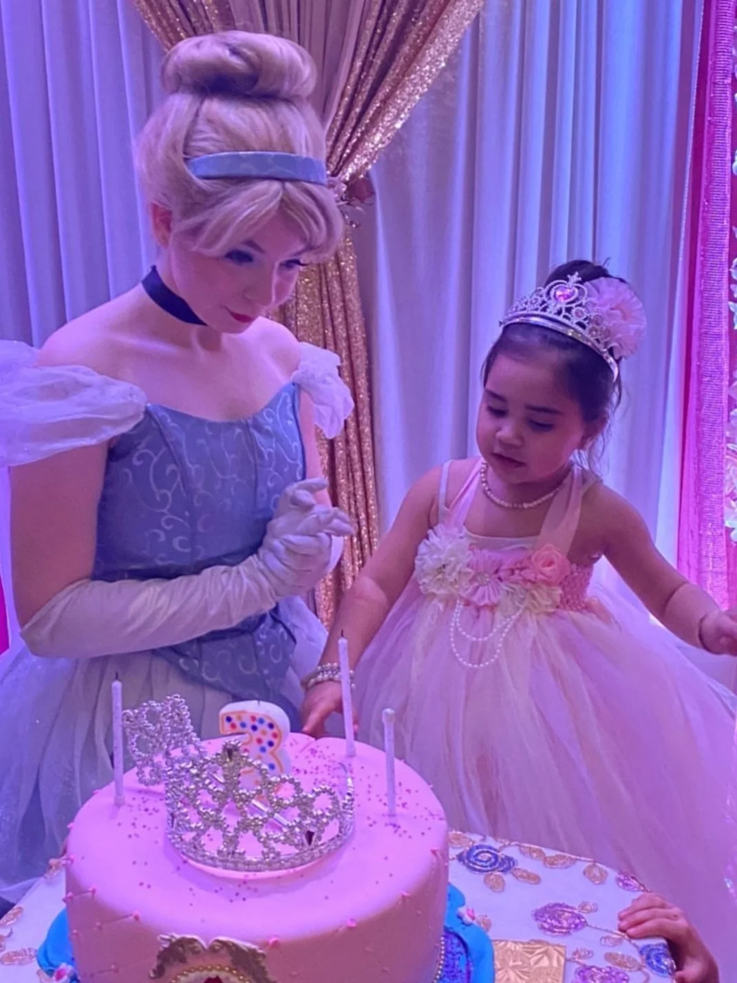 Ottawa Princess Parties Princess Parties