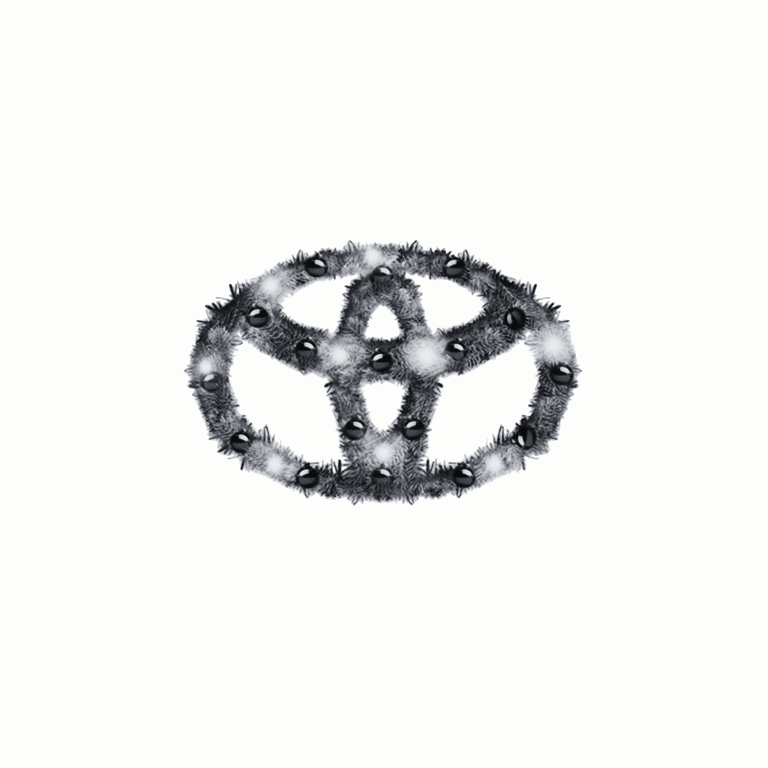 Toyotathon