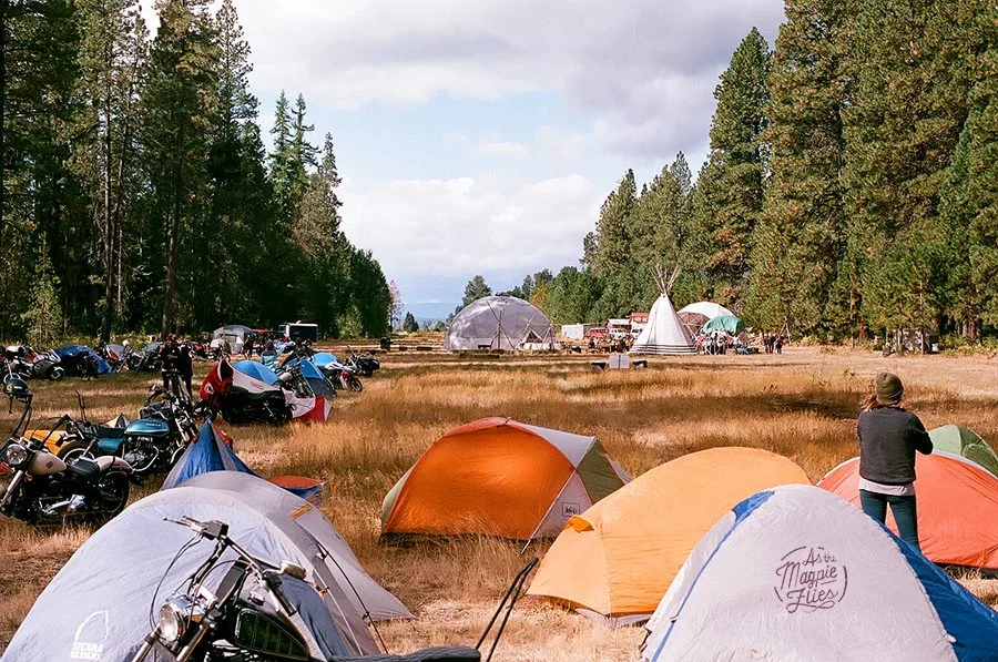 Image from www.thedreamroll.com