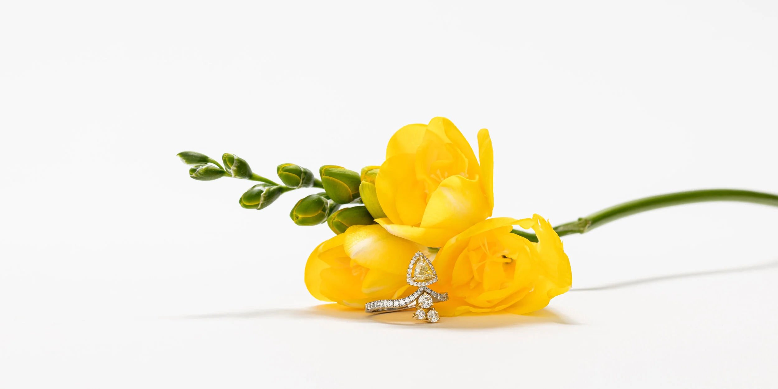 Libbys-2019-10-16-Trillion banner size.jpg