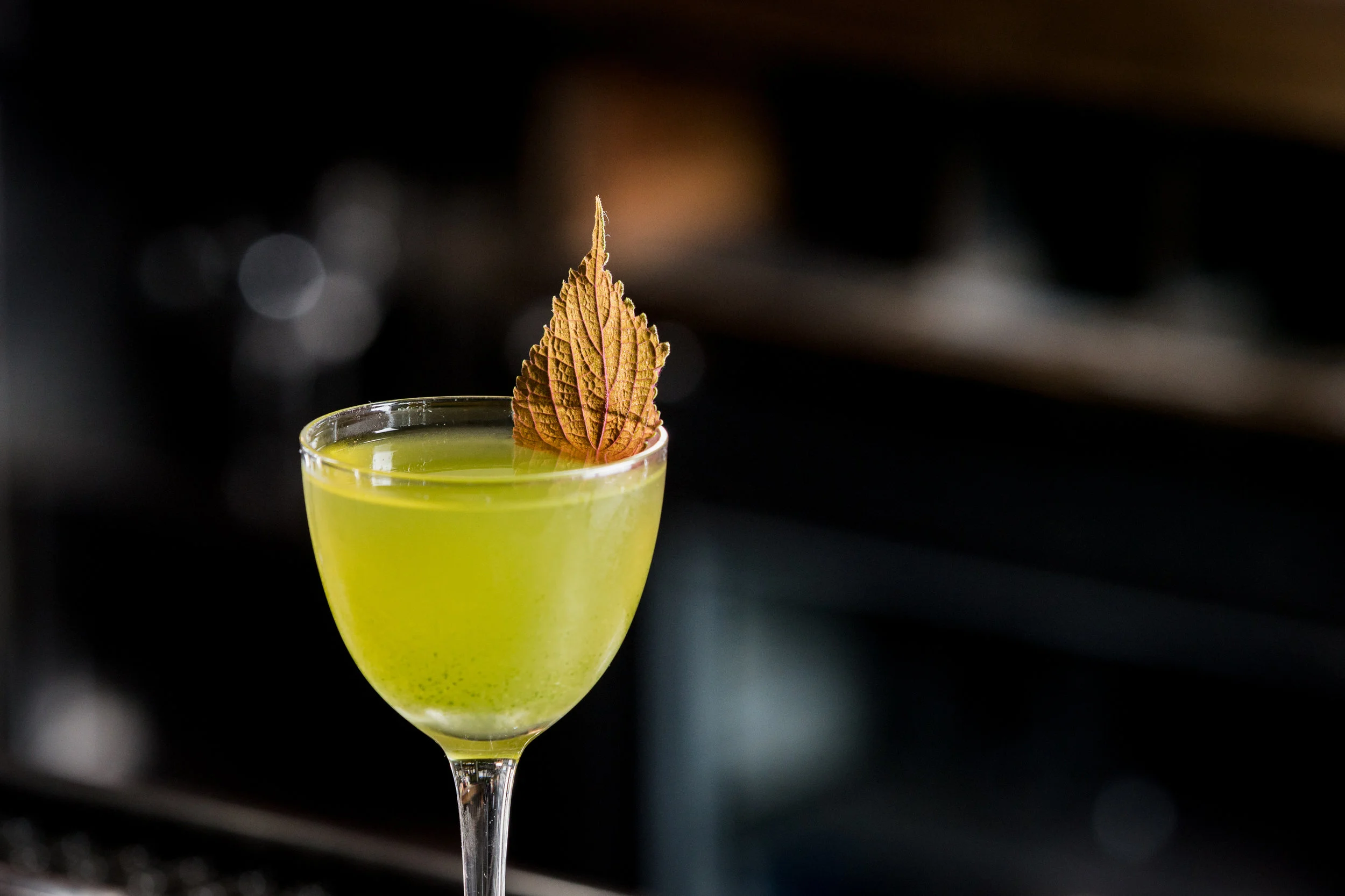 ED_portfolio-drinks-22.jpg