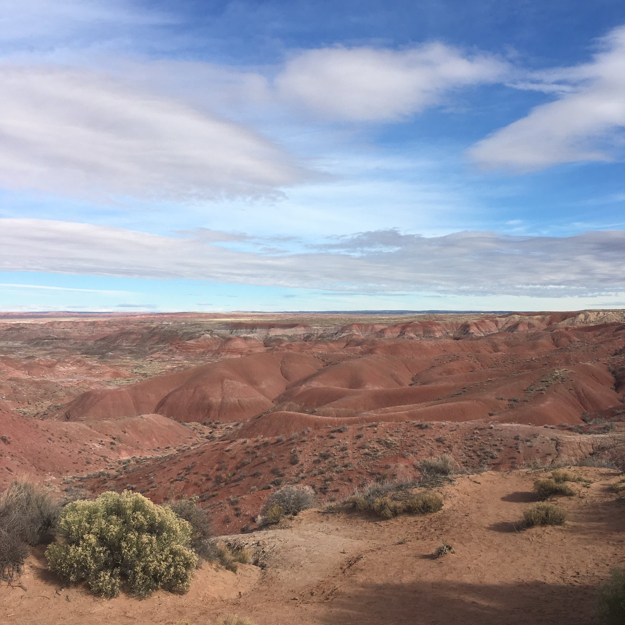 Painted Desert | Arizona