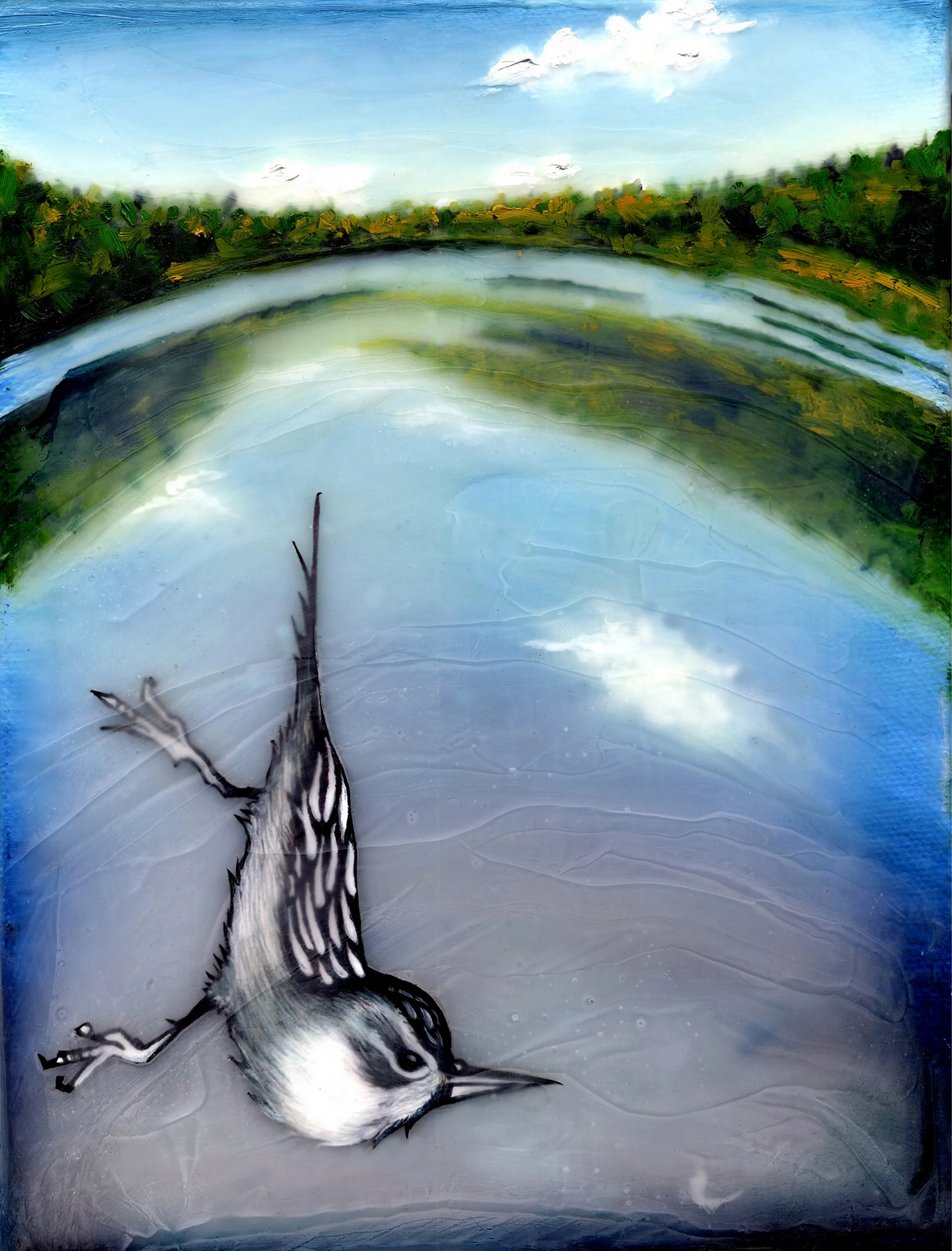 3Nuthatch.jpg