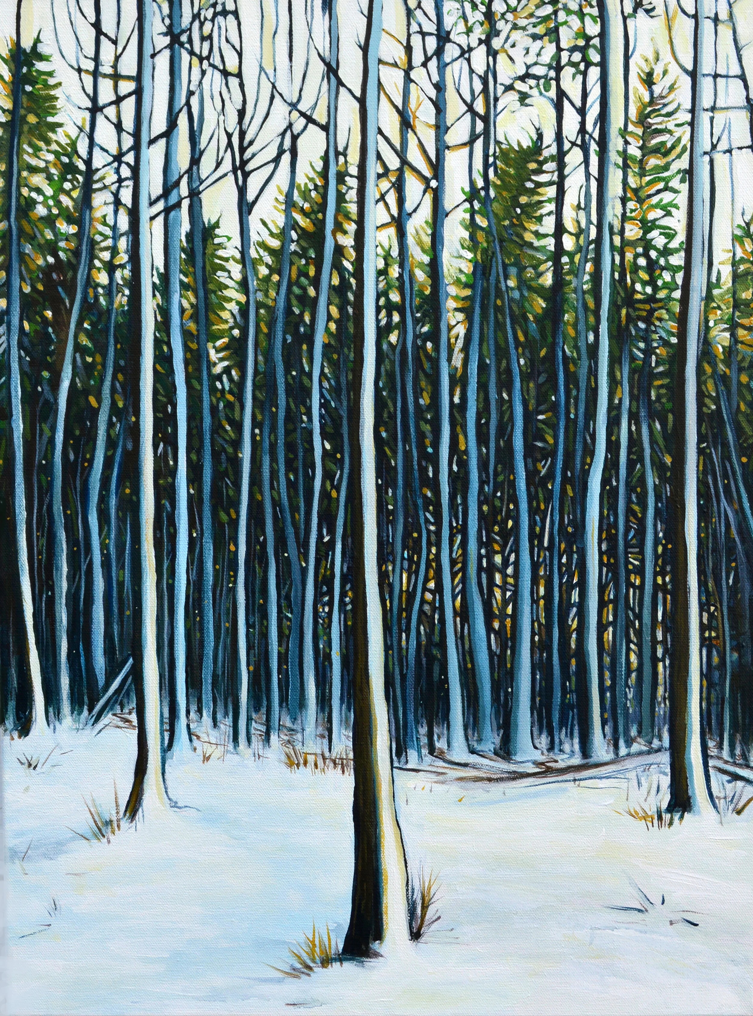 wintertrees.jpg