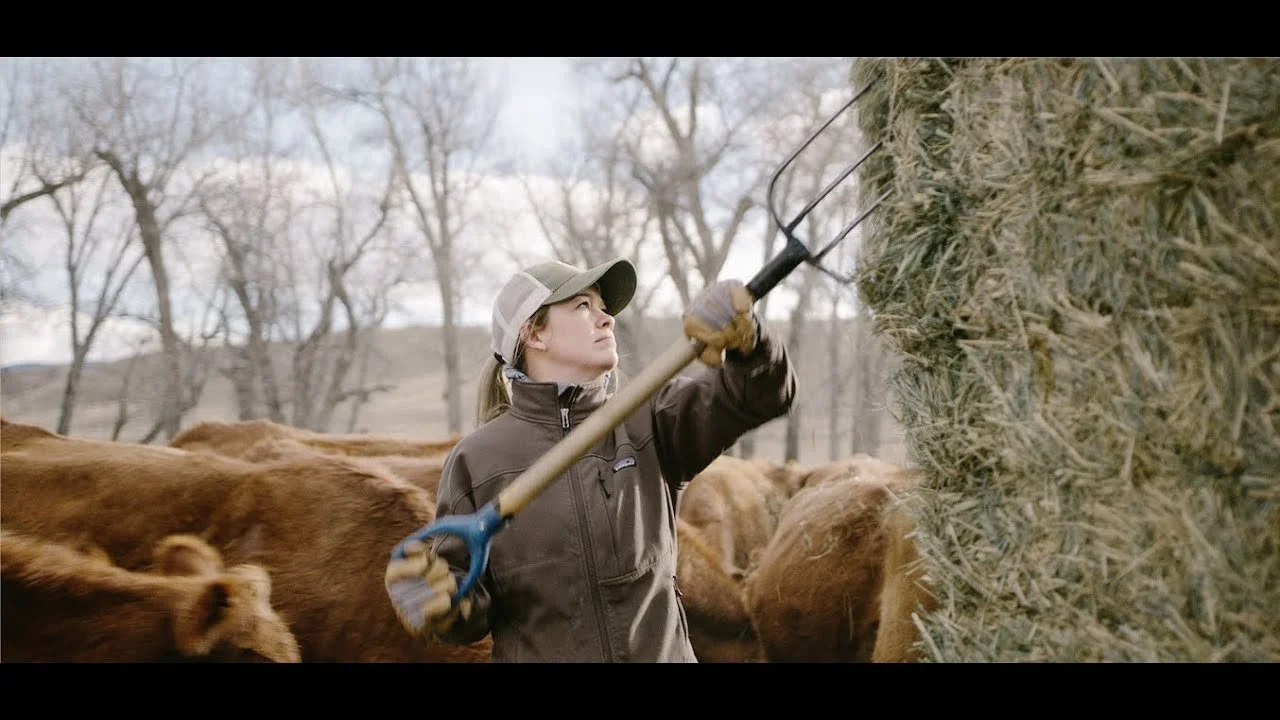 What a Rancher Looks Like