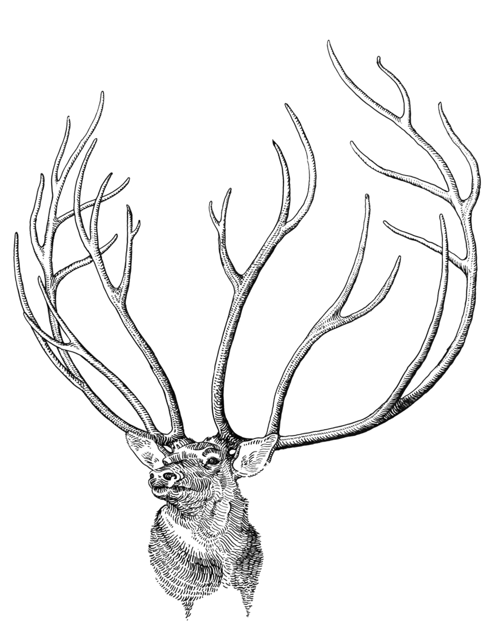  Stewards of the Undying Deer Cult series: The Problem of the Glen 