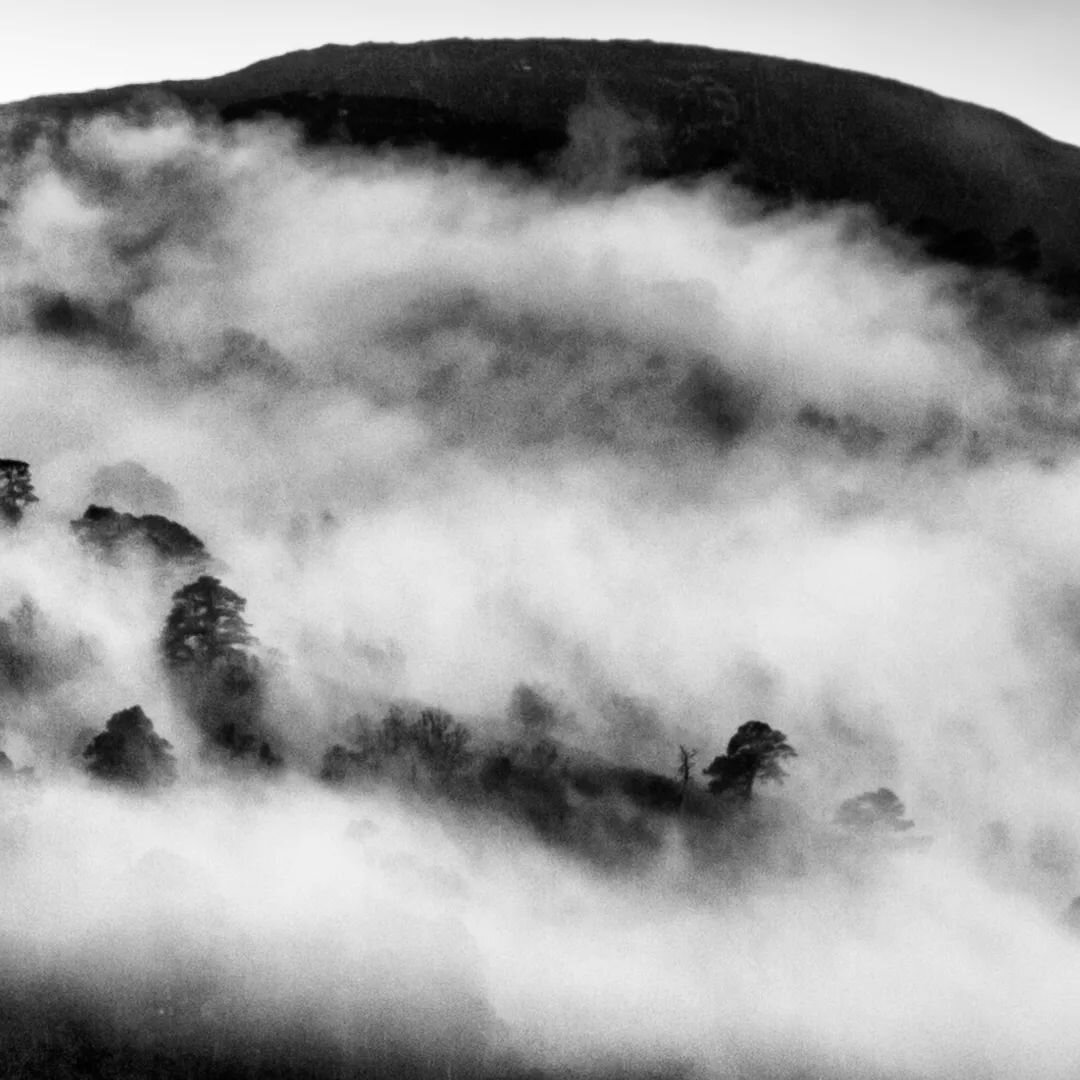 Pines in the mist II
.
.
.
.
.
#glenstrathfarrar #glenaffric #beauly #mistyforest #mistymountains #scotspinebonsai #hiddenscotland #anseladams #landscapephotography