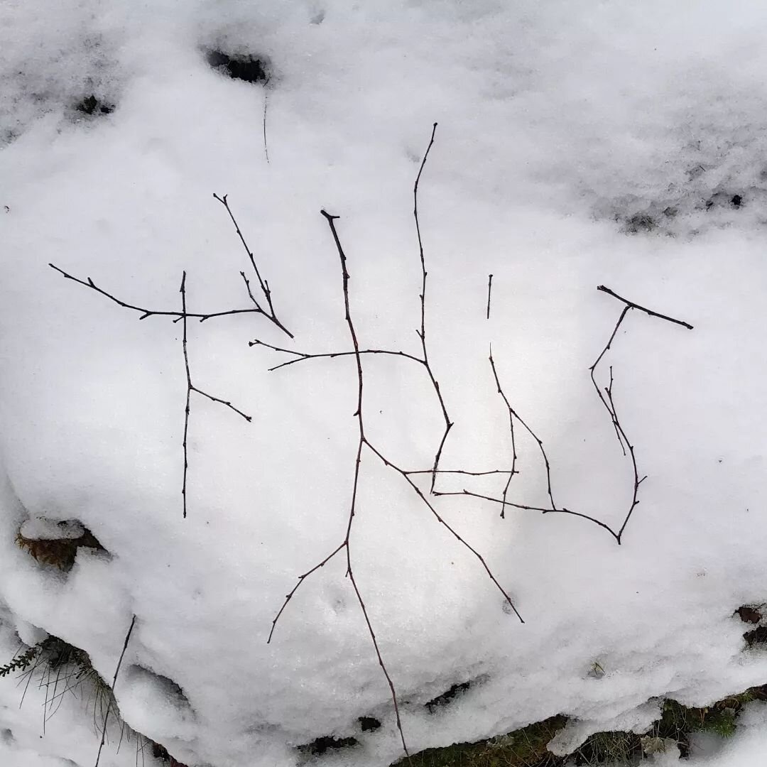 'This' the mantra is the now. 
and
Fingerful of Stillness.

Or...2 weeks ago i waved goodbye to old hag of the cold winter goddess. 

Birchwood, snow and lichen. 
.
.
.
.
.
#twigwriting