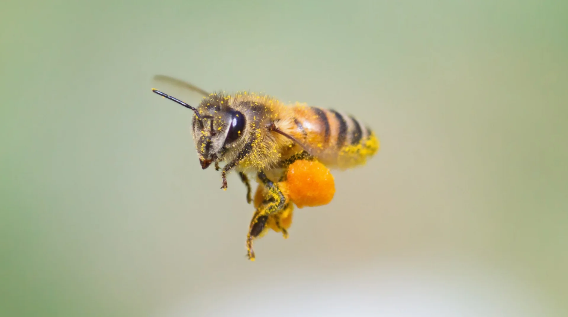 AdobeStock_80496756.jpeg
