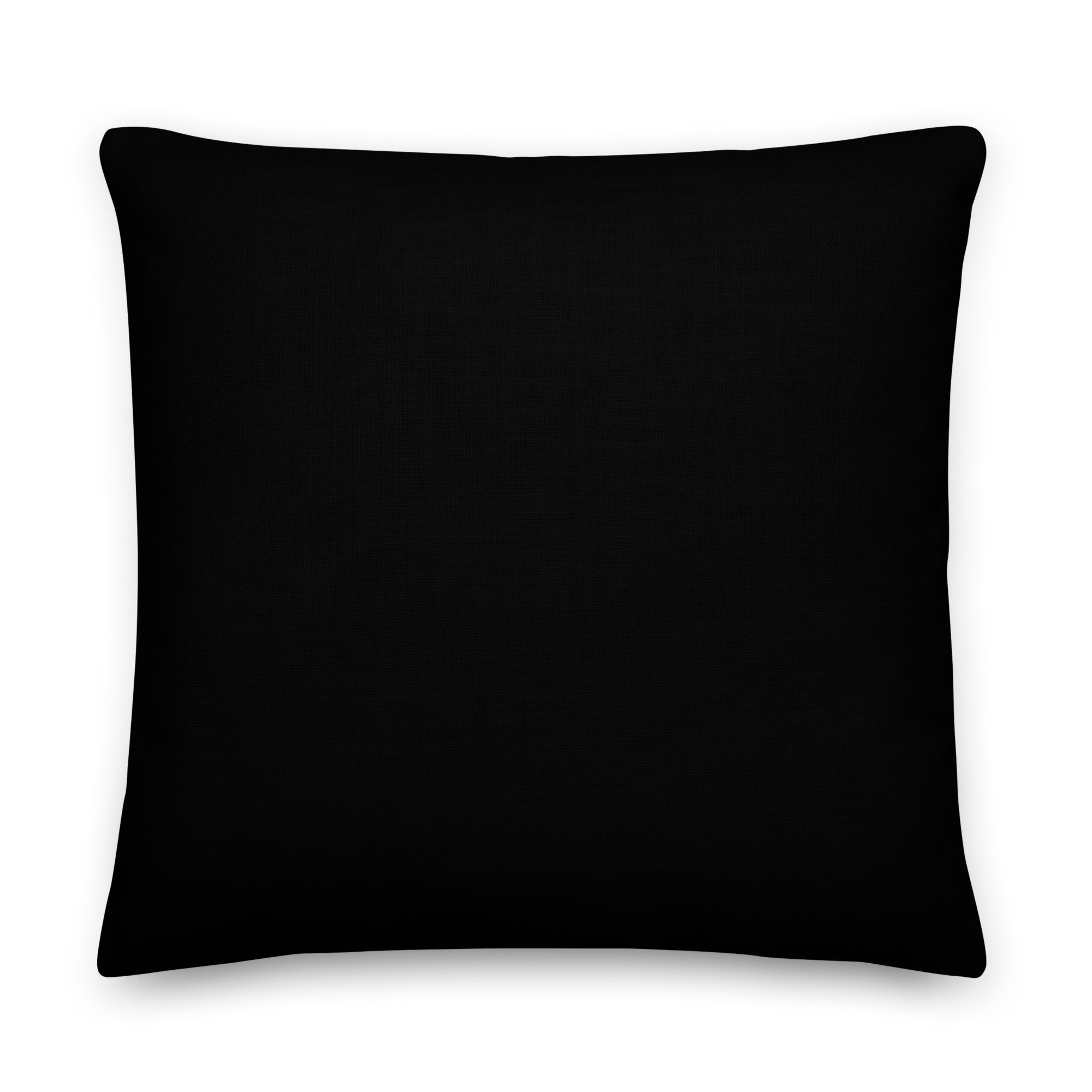all-over-print-premium-pillow-22x22-back-6a8b4ae914100.jpg