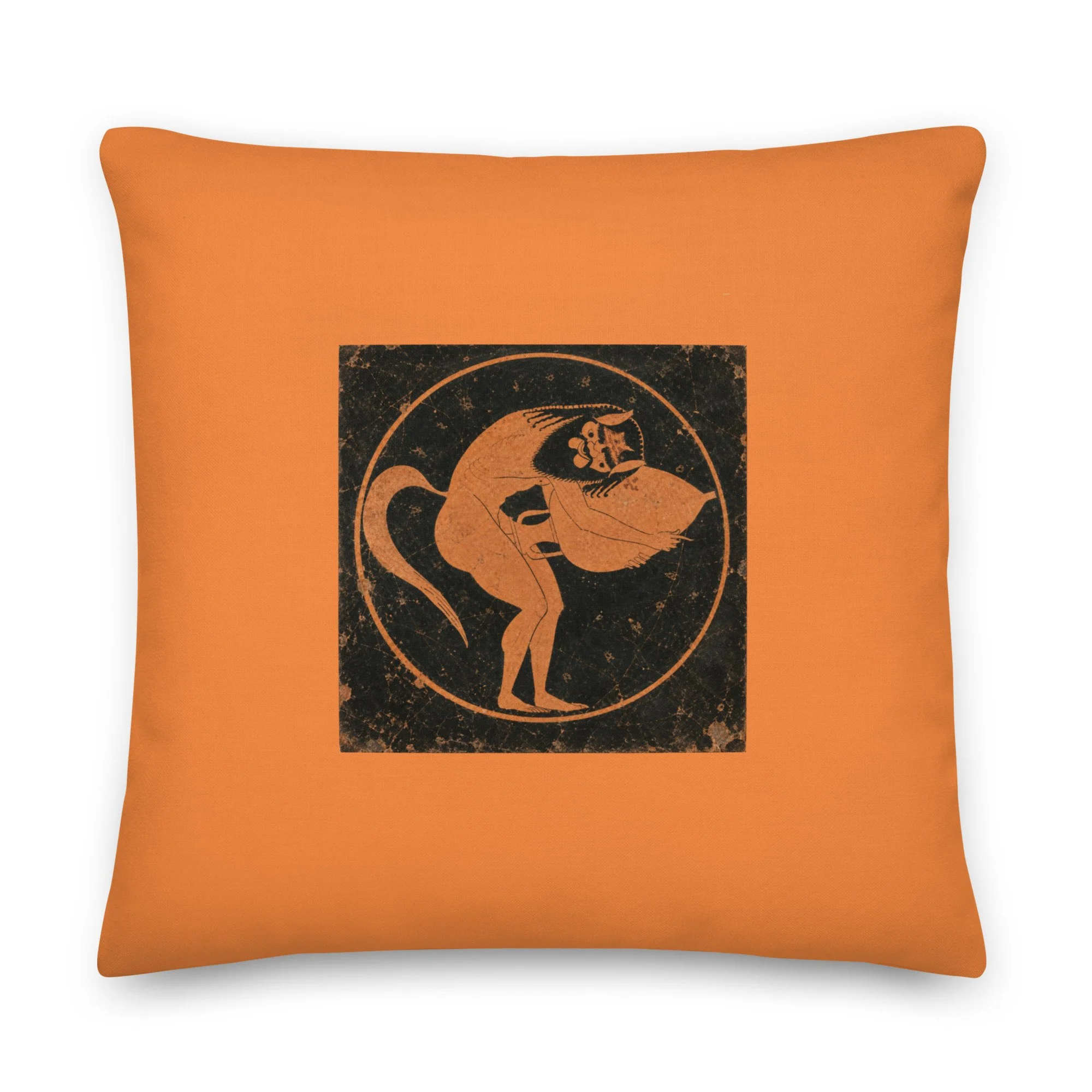 all-over-print-premium-pillow-22x22-front-6aa8d5281e85f.jpg