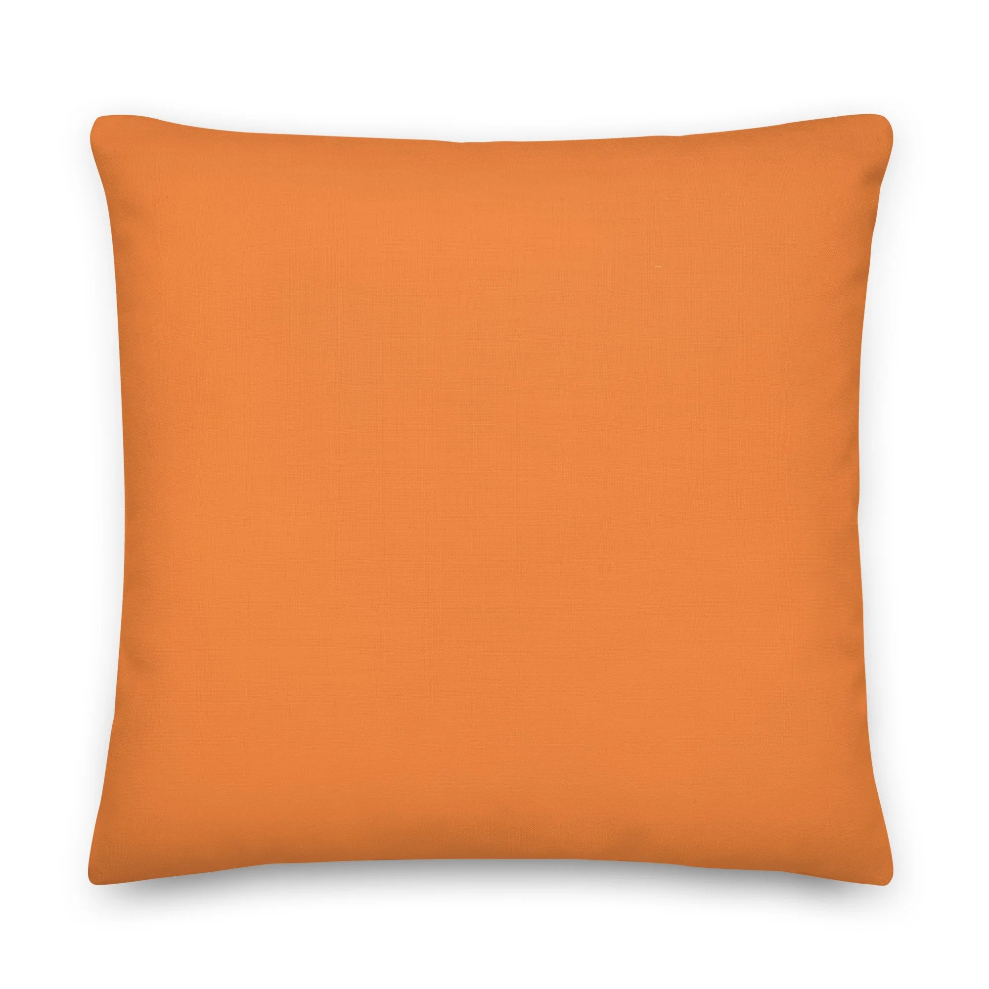 all-over-print-premium-pillow-22x22-back-6aa8d5282011e.jpg
