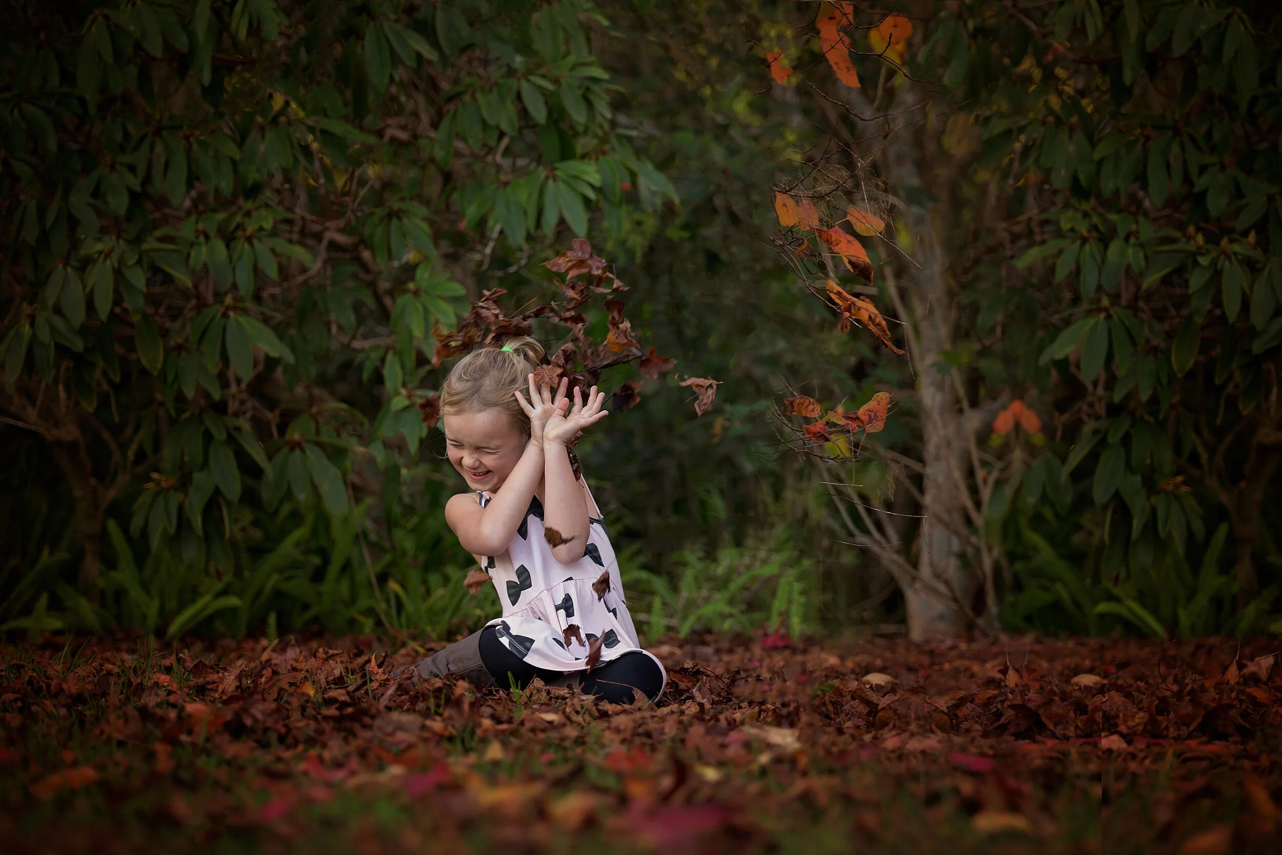 photographers in kerikeri