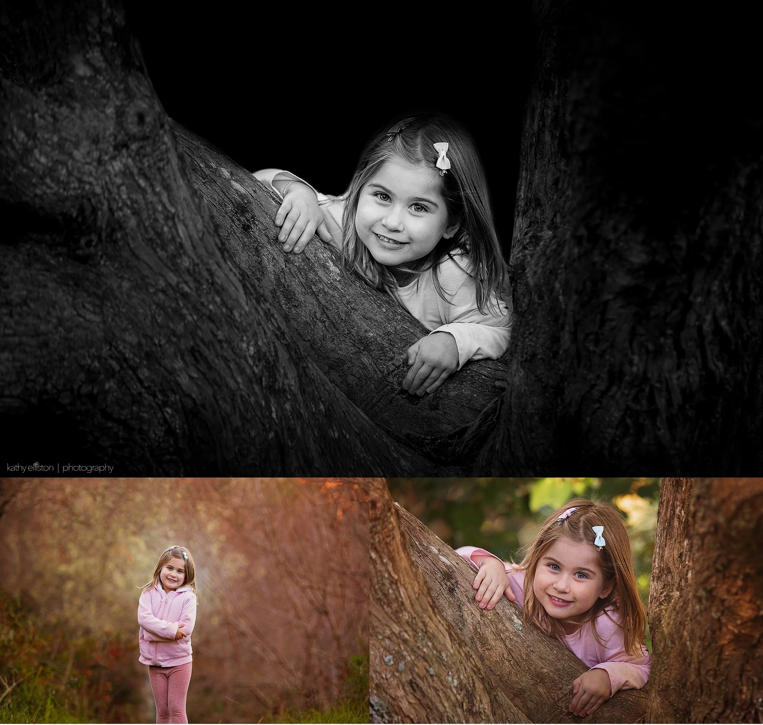 wedding photographers in Kerikeri Area