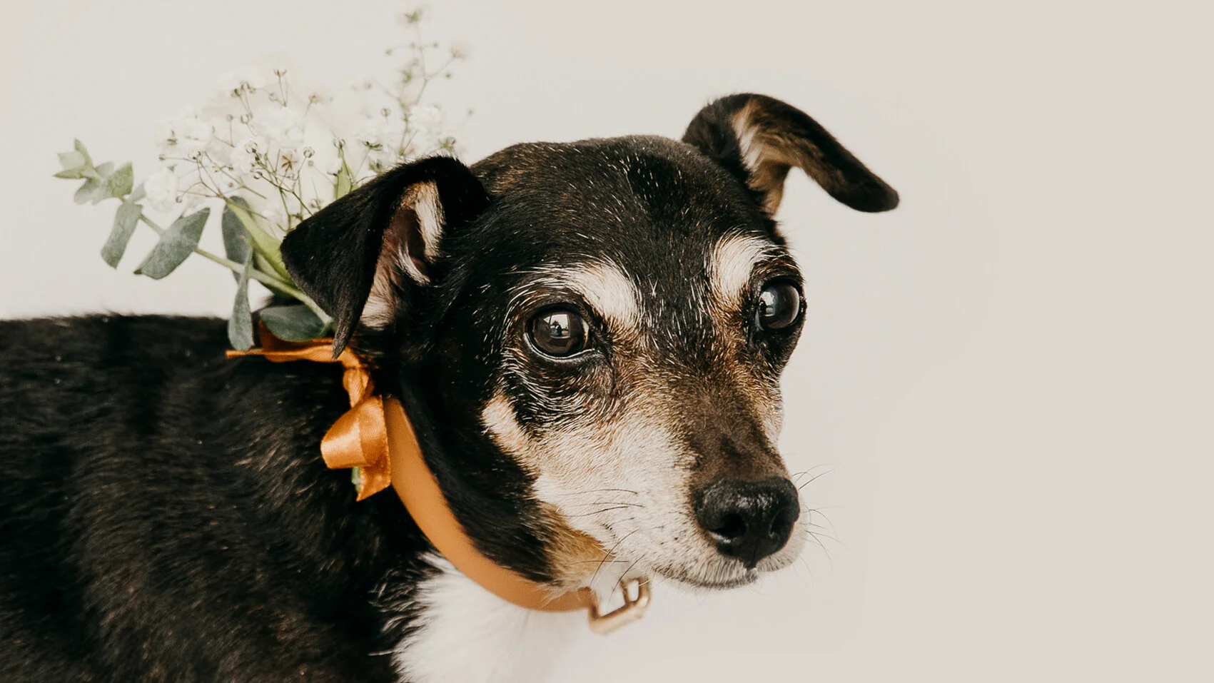 kathy elliston photography-305.jpg