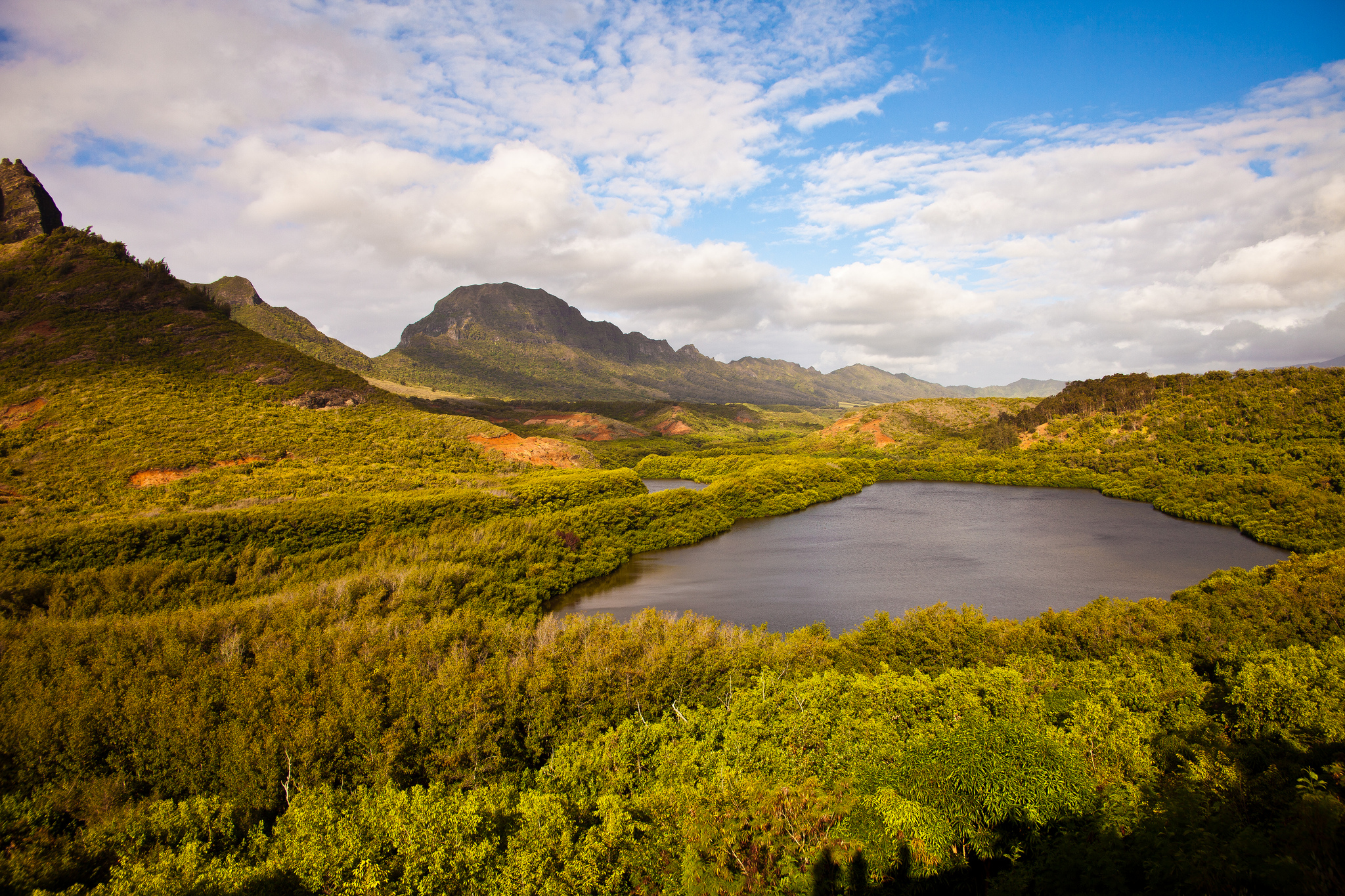 'Alekoko Fishpond - opacity