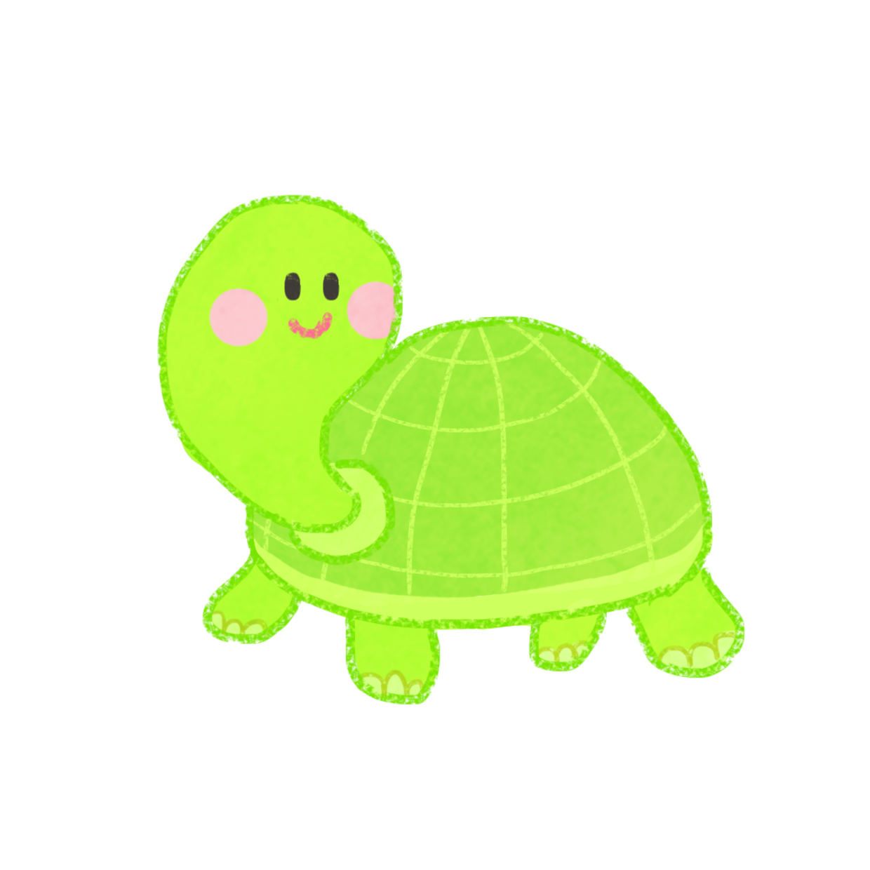 Tortoise