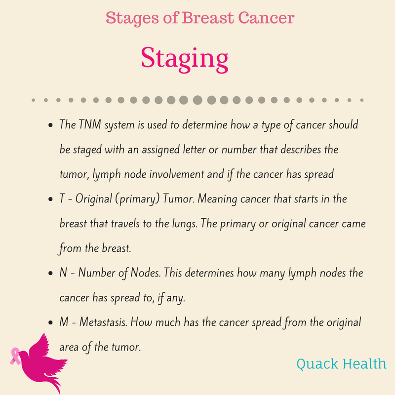 Stages of Breast Cancer — Quack Health