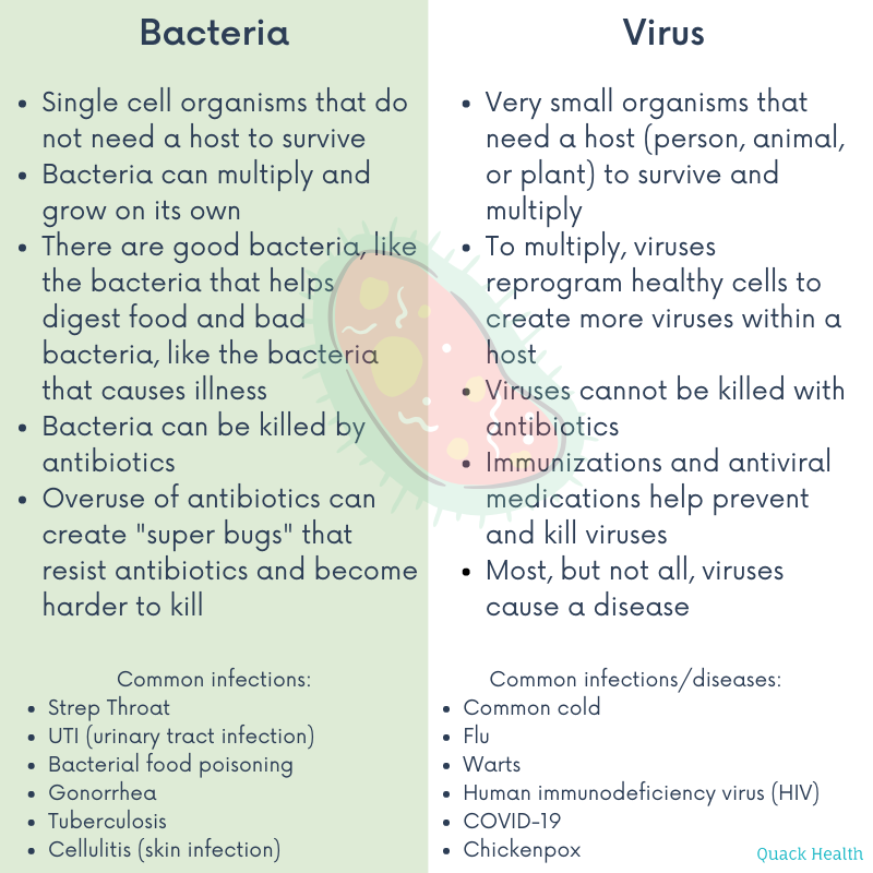 wart virus or bacteria)