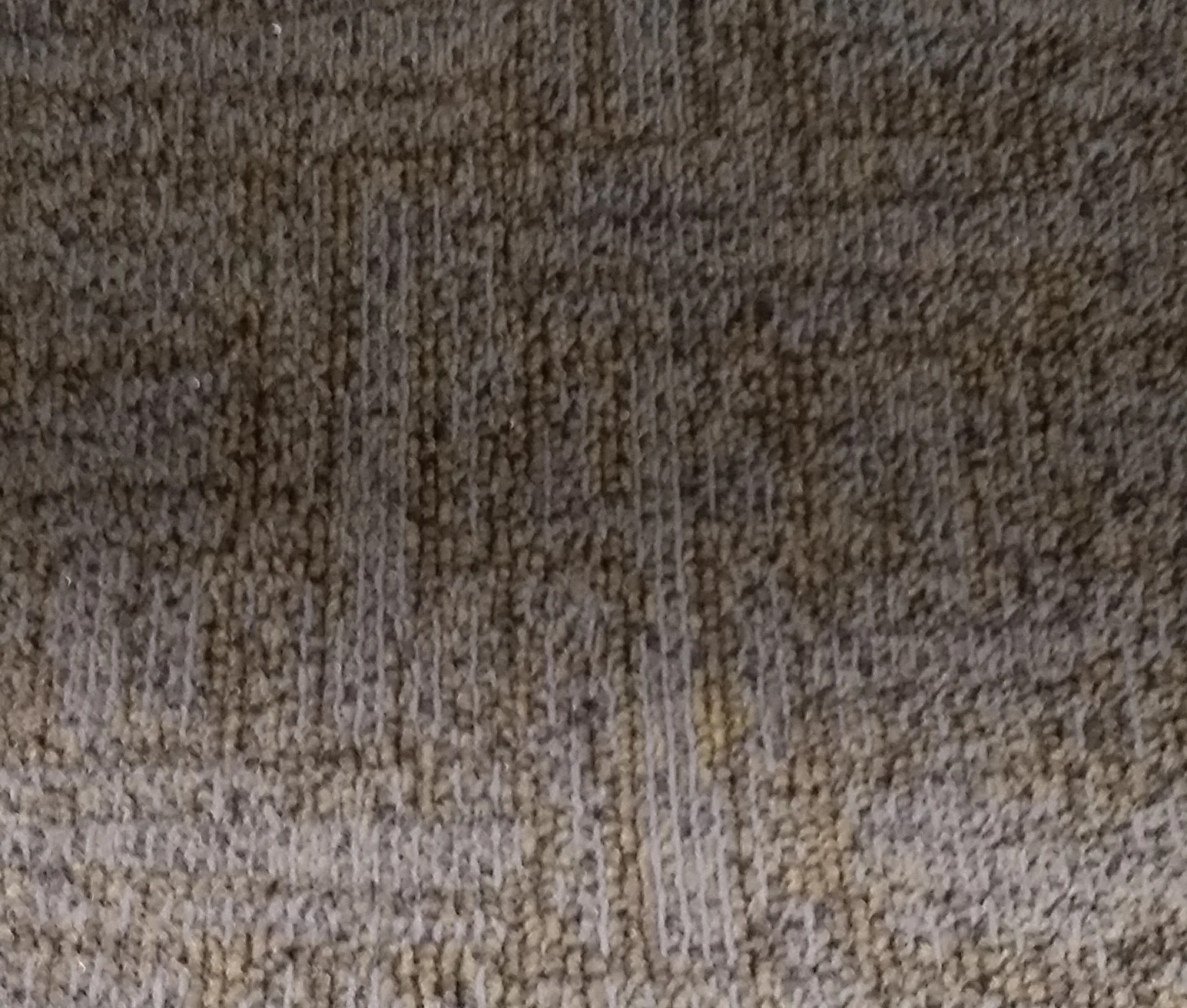 caltec 091.jpg