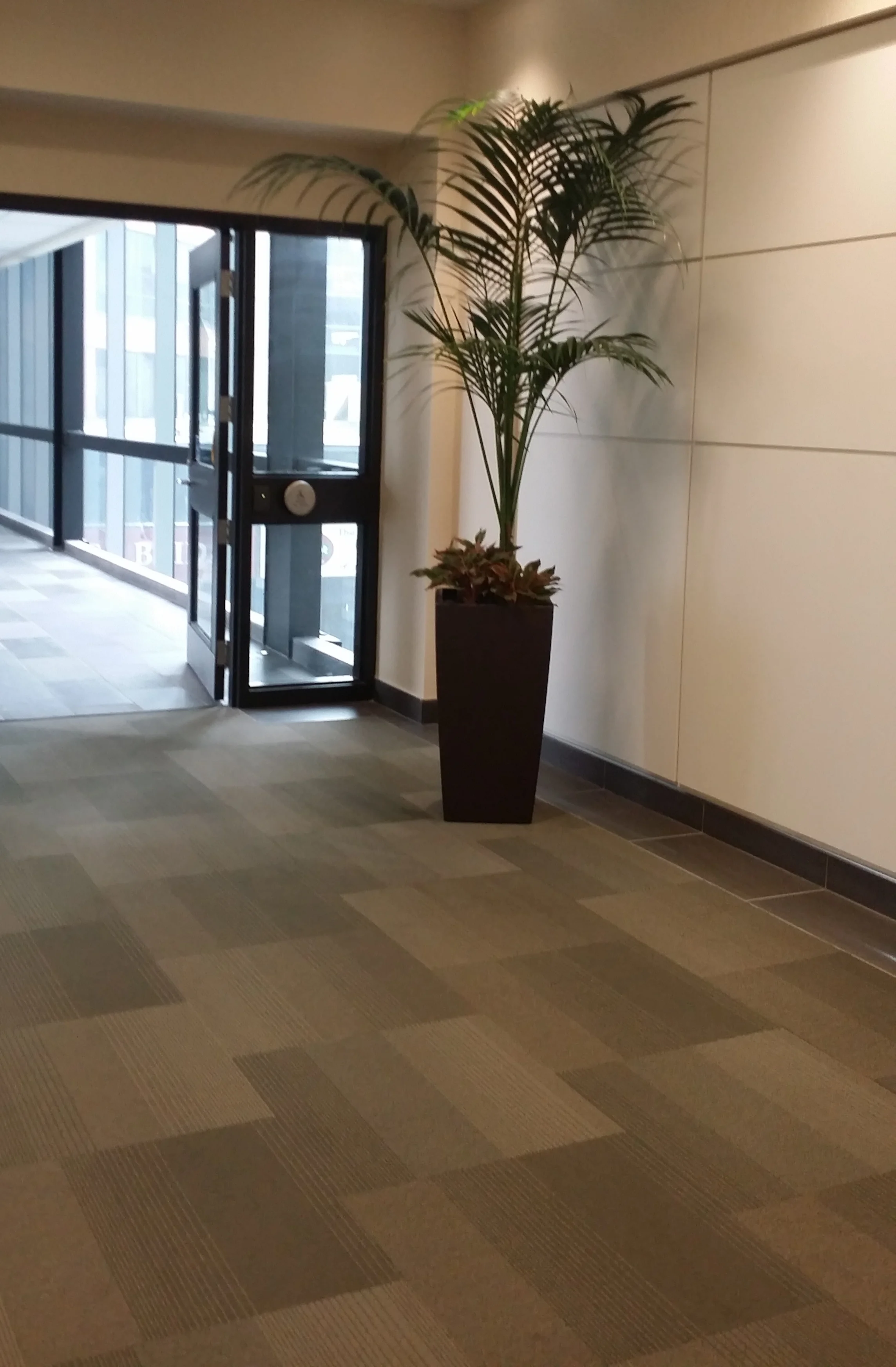 Tandus Carpet Tile