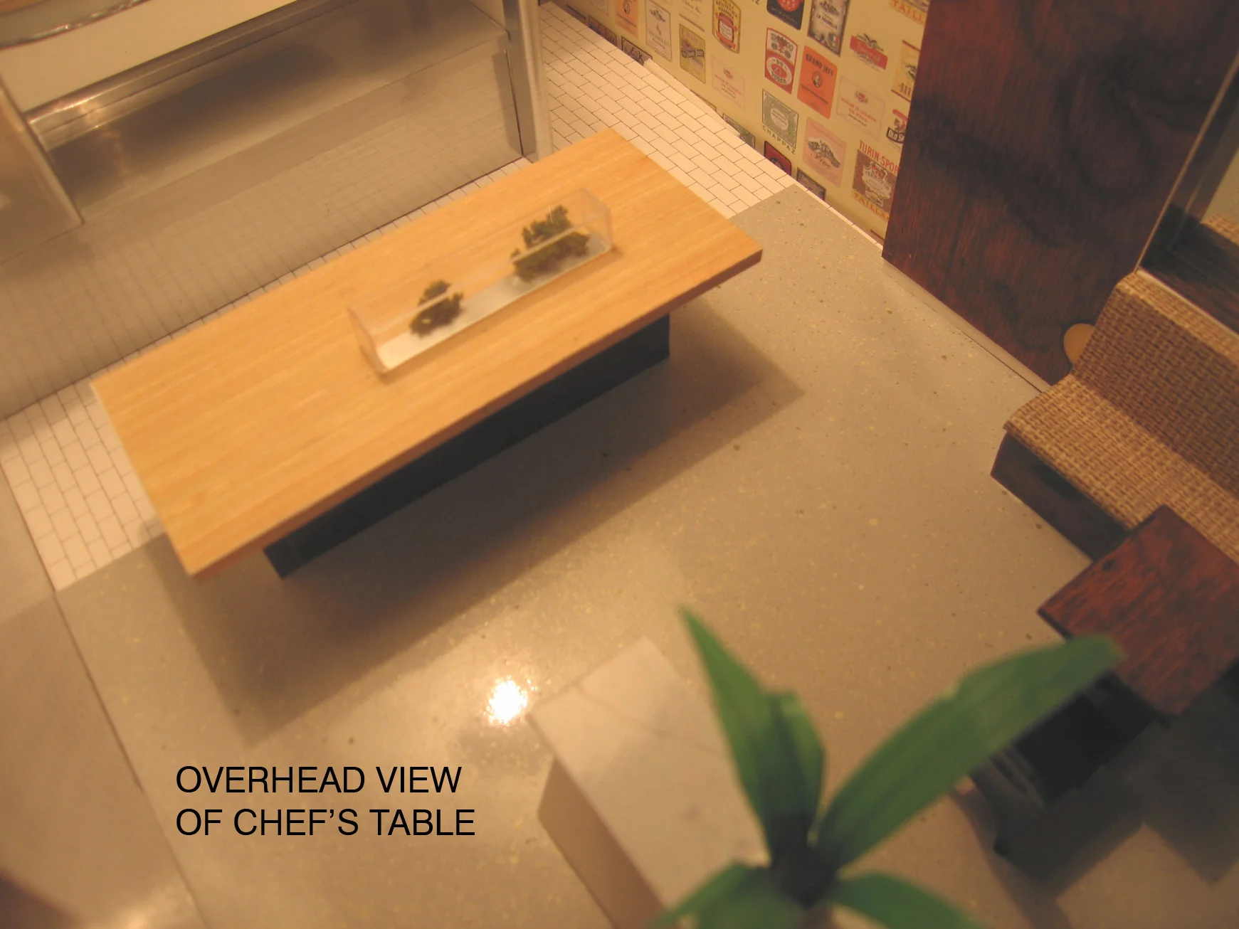 counter view.jpg