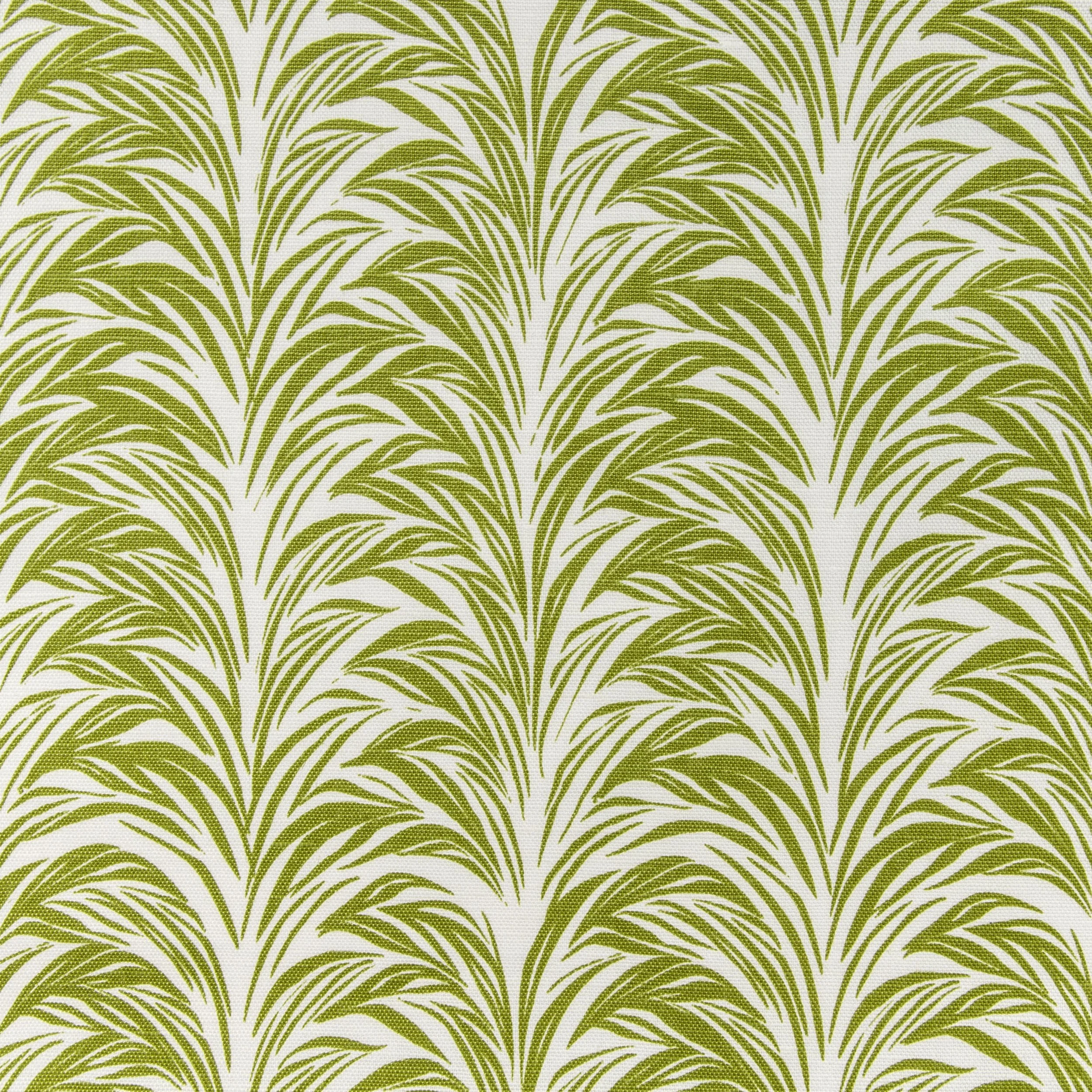 Zebra Fern/ bottle green