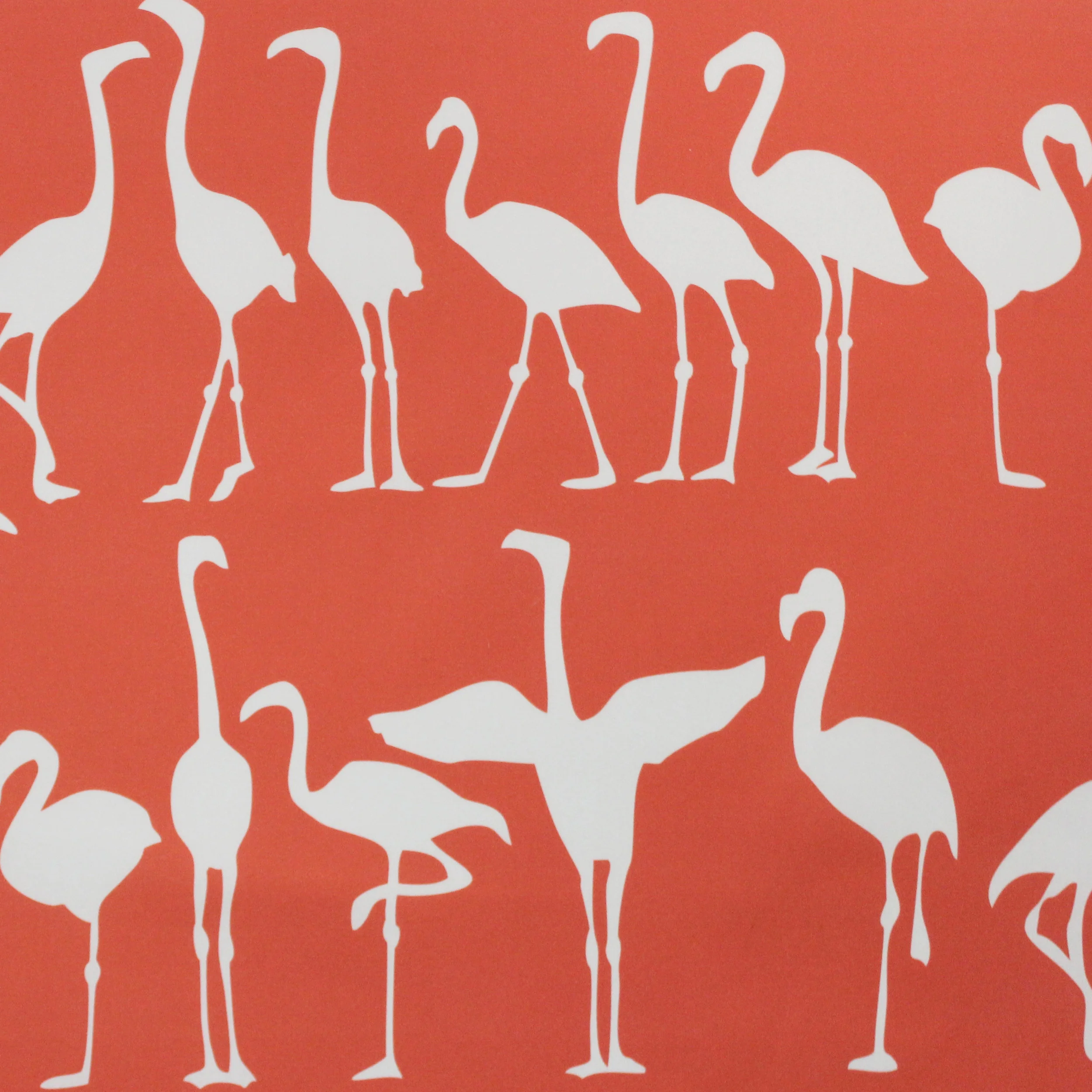 flamingo parade coral crop.jpg