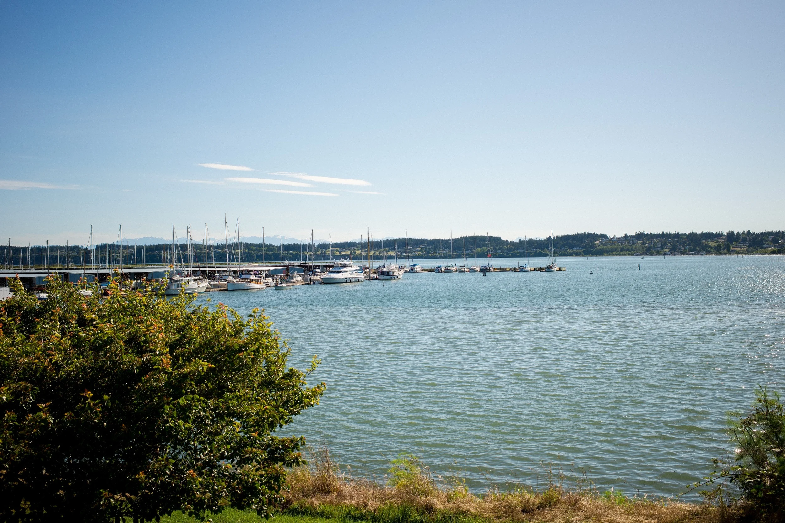 weber2-358.jpg