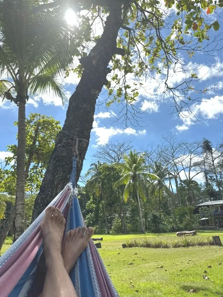 A person relaxing in a hammock tied between trees in a tropical outdoor setting with green grass, palm trees, and a bright blue sky with some clouds.