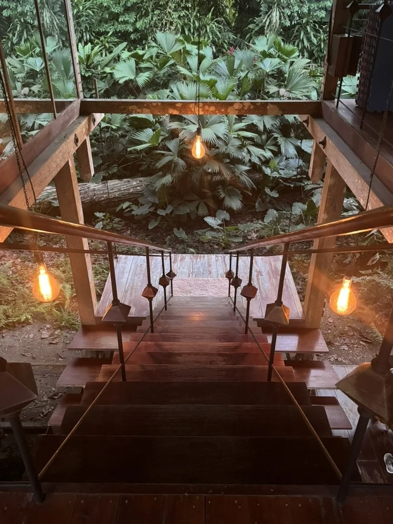 Wooden staircase with black railings and warm hanging light bulbs leading to a lush green outdoor garden area.
