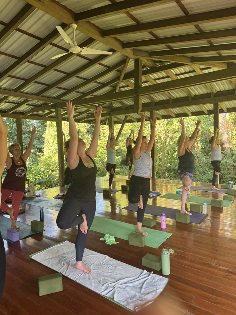 Group of people practicing yoga outdoors under a wooden pavilion with metal roof, standing on yoga mats, balancing on one leg with arms raised, surrounded by lush green trees.