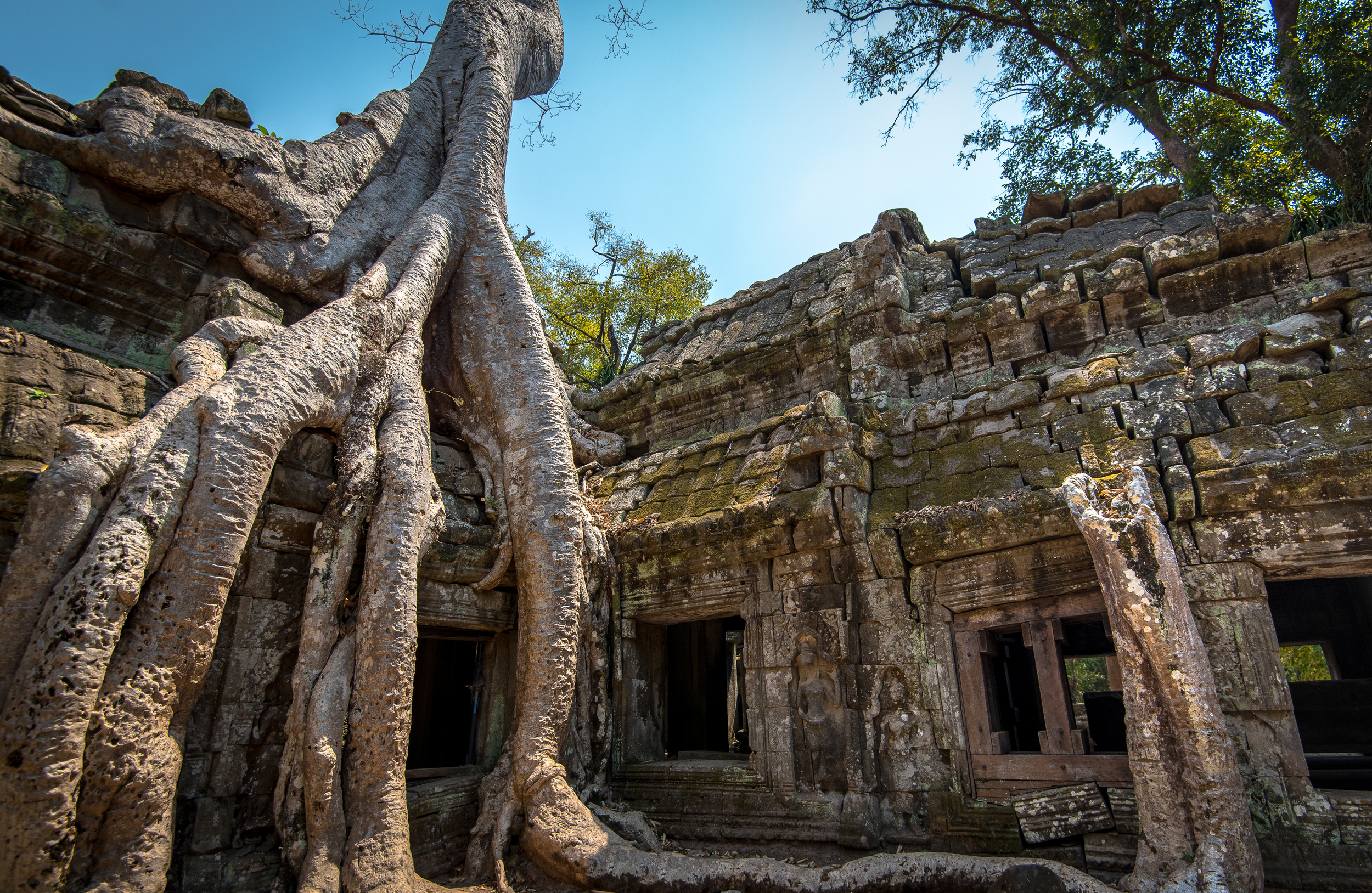 Ta Prohm Angkor Wat.jpg