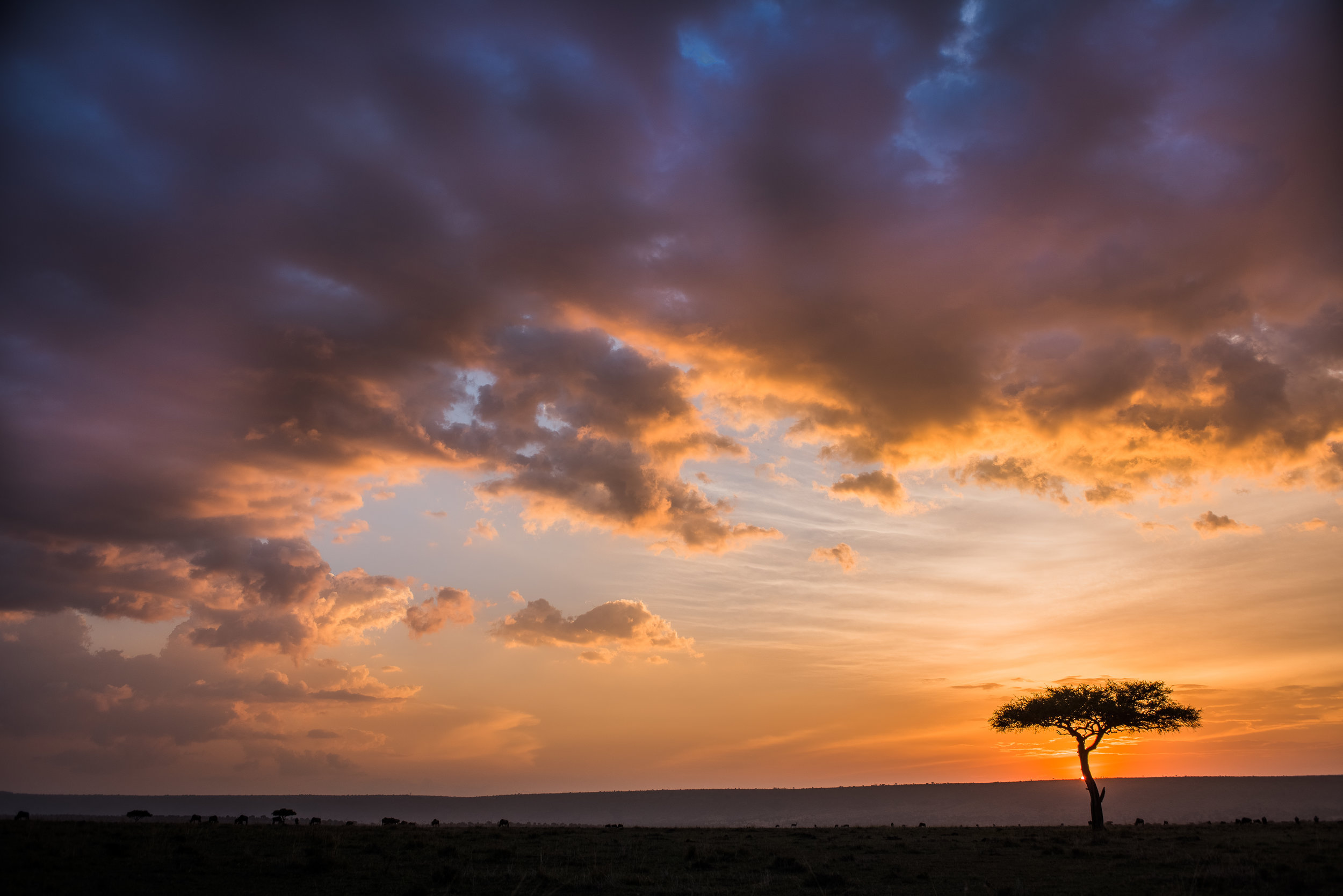 Masai Mara Sunset.jpg