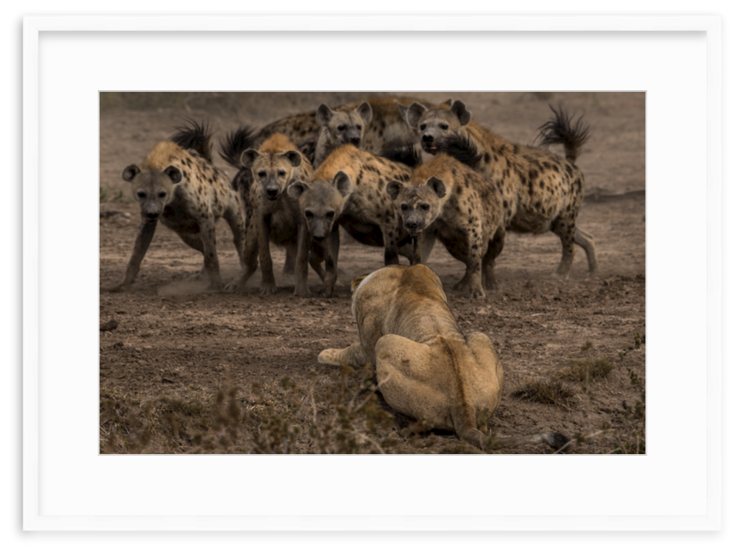 Screen Shot 2020-08-26 at 10.56.26 AM.png