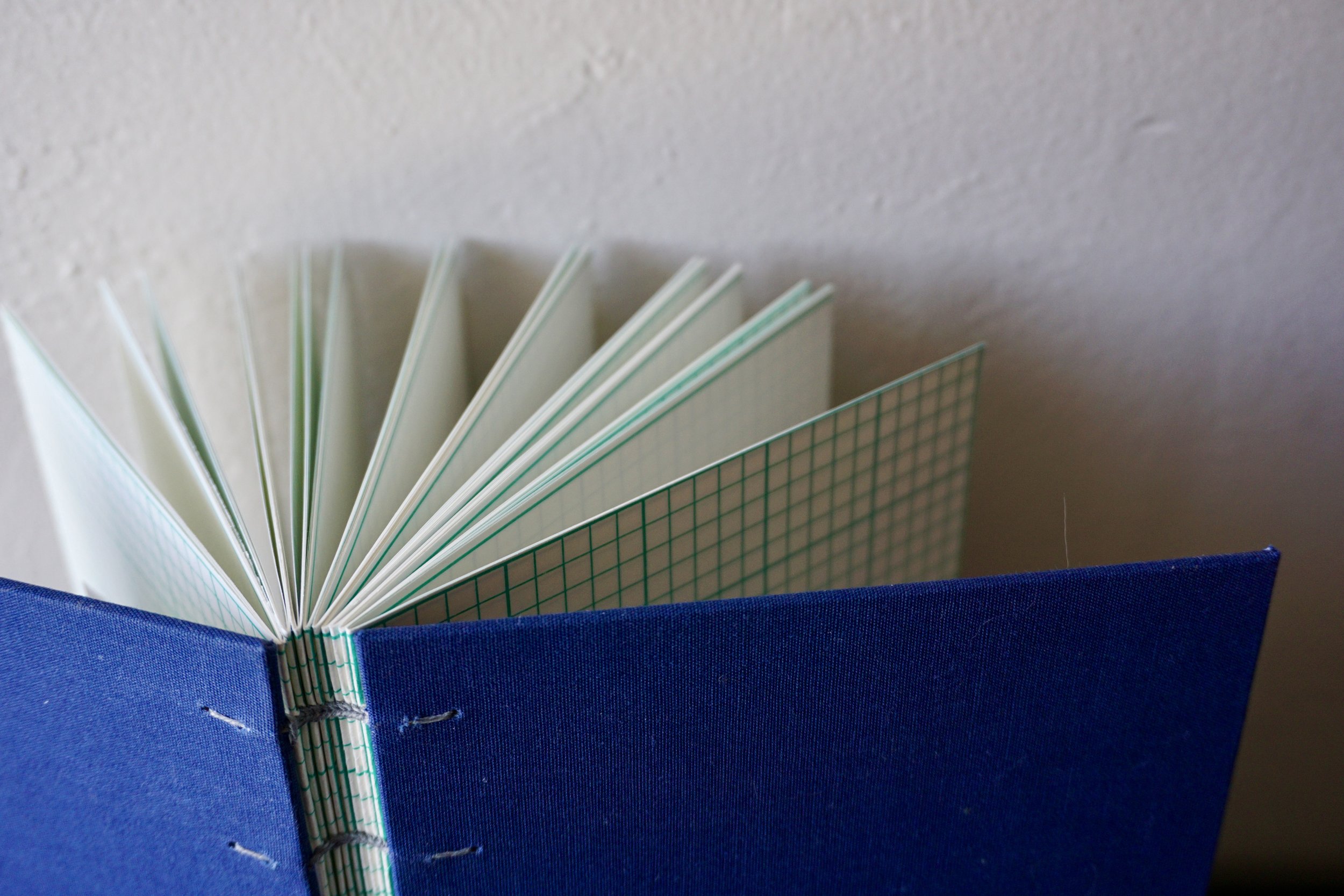 DSC08176_Original 2.jpg