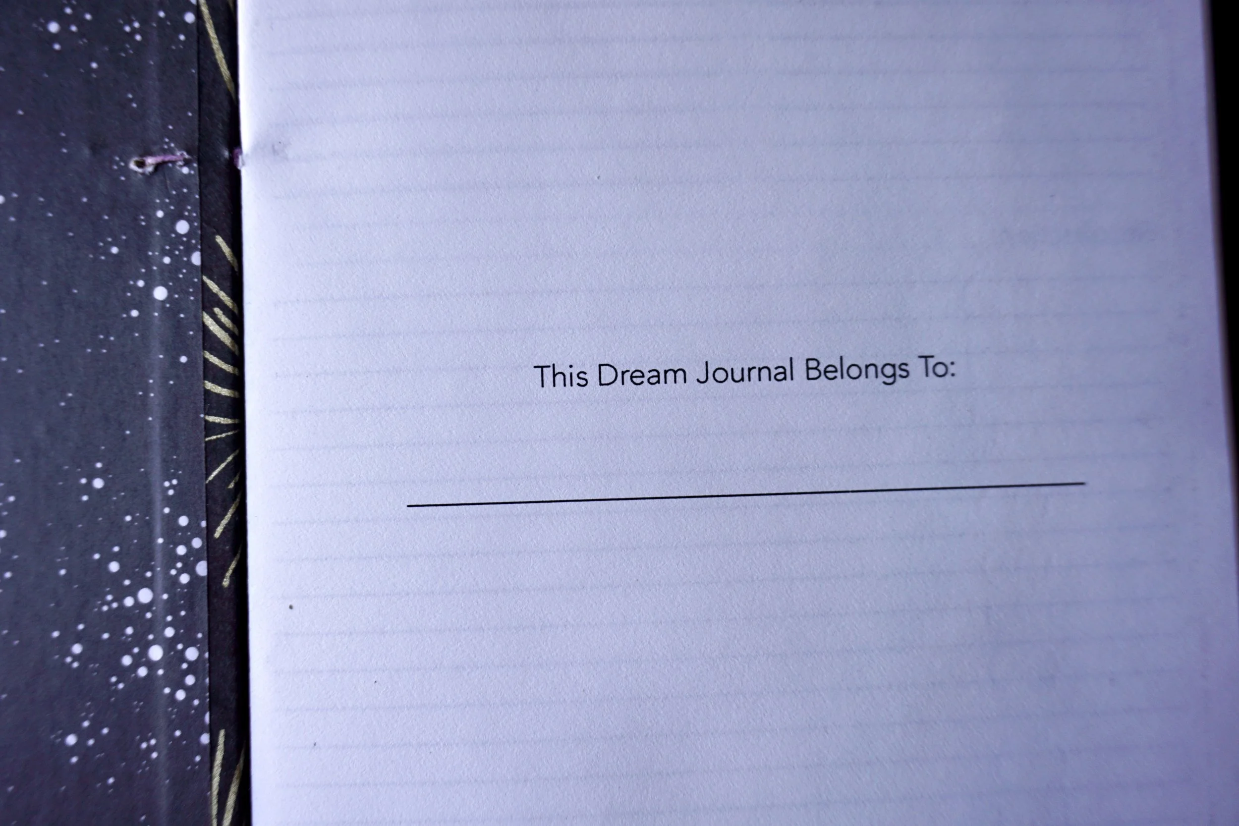 DSC01639_Original 2.jpg