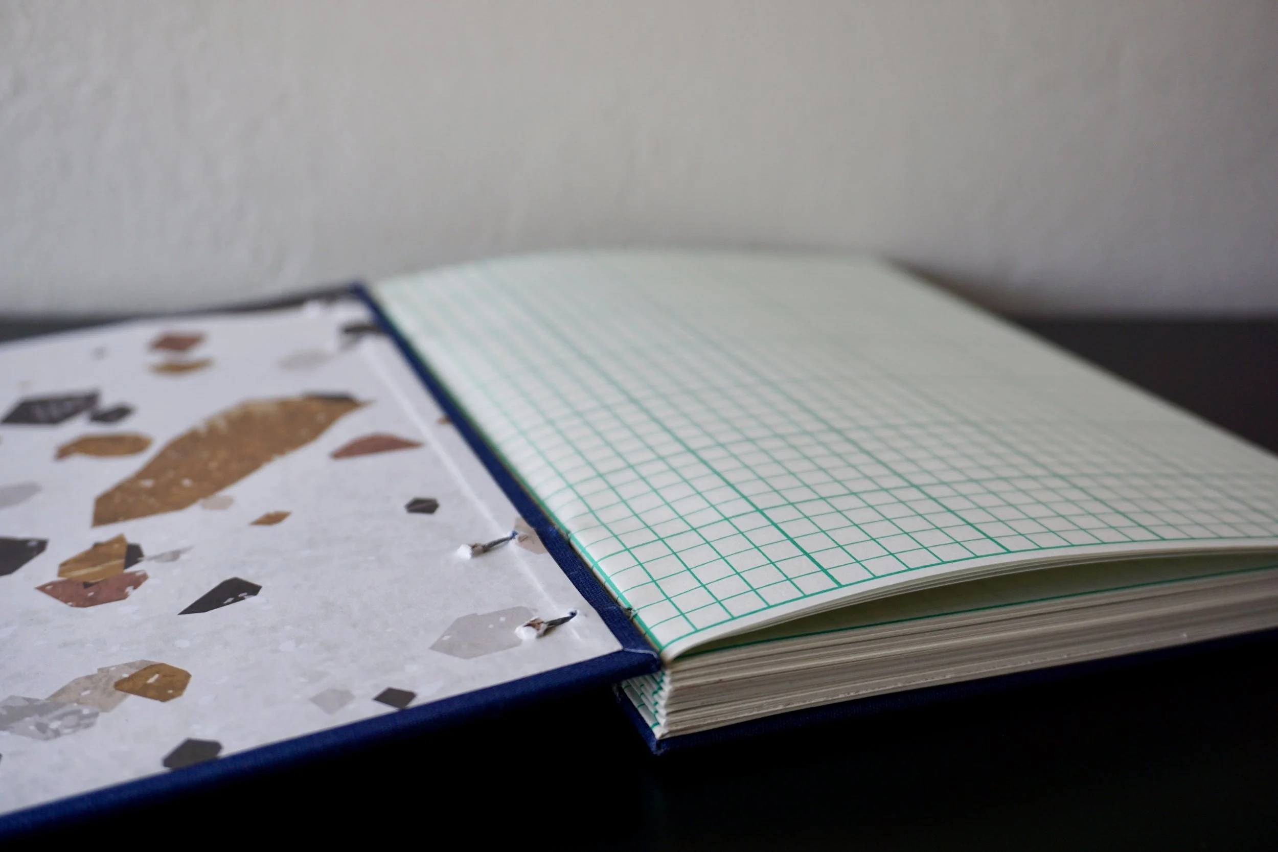 DSC08158_Original 2.jpg