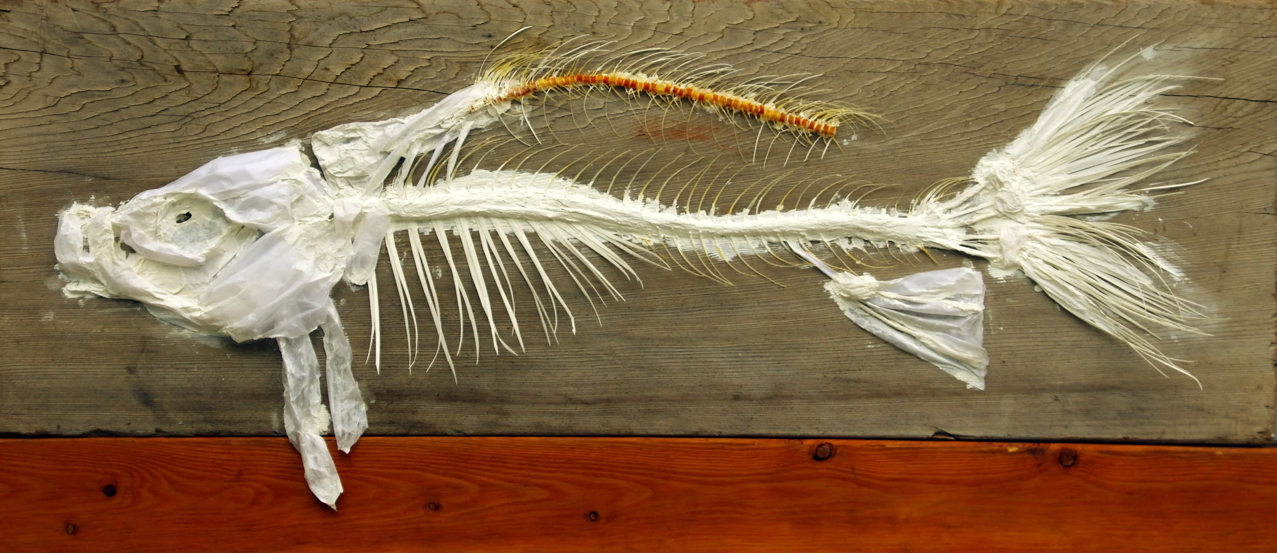 Untitled. Mixed media and fish bones on wood. 11.25"x32.25". 2014.