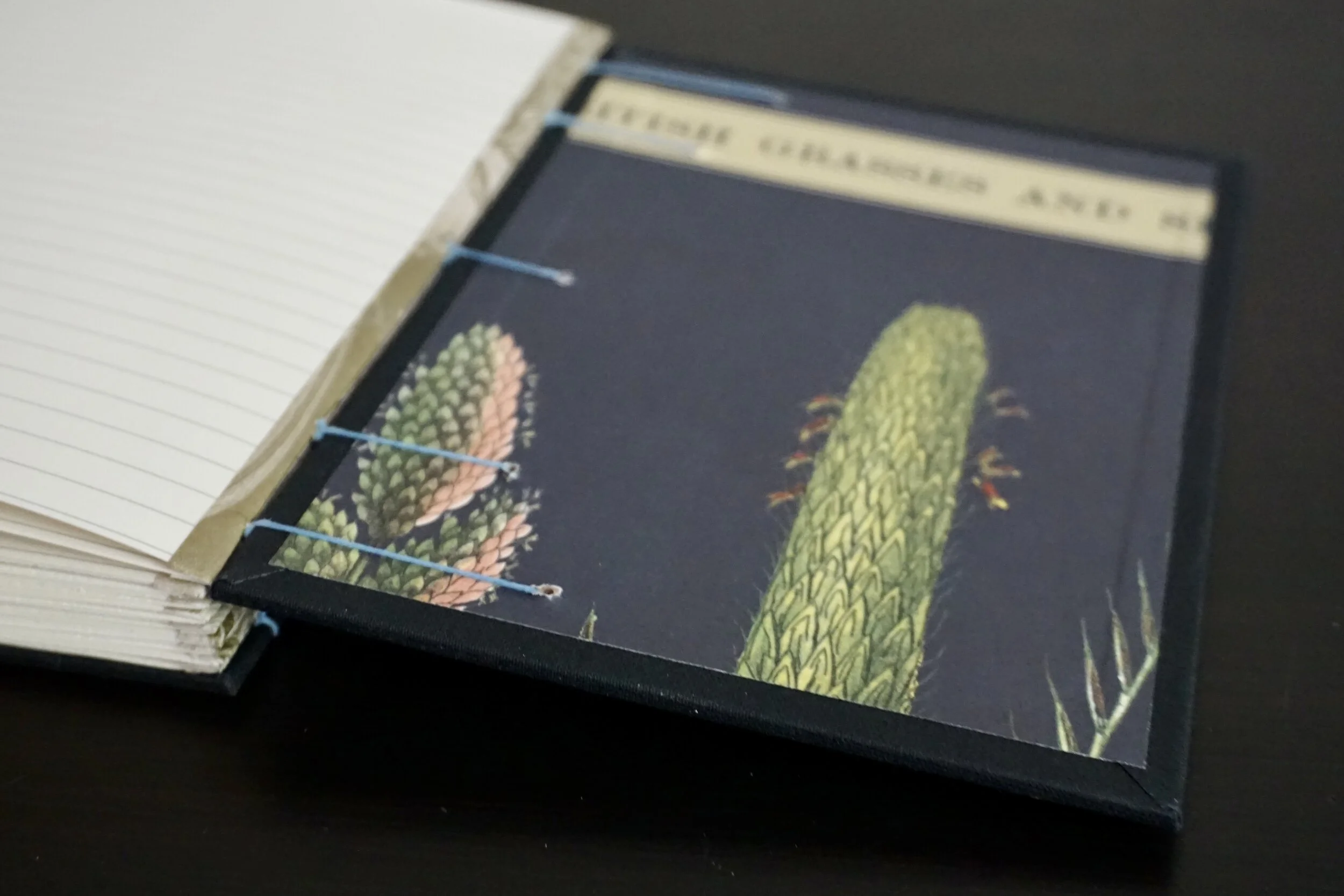 Lined Journal with Decorative Plant Specimen Paper