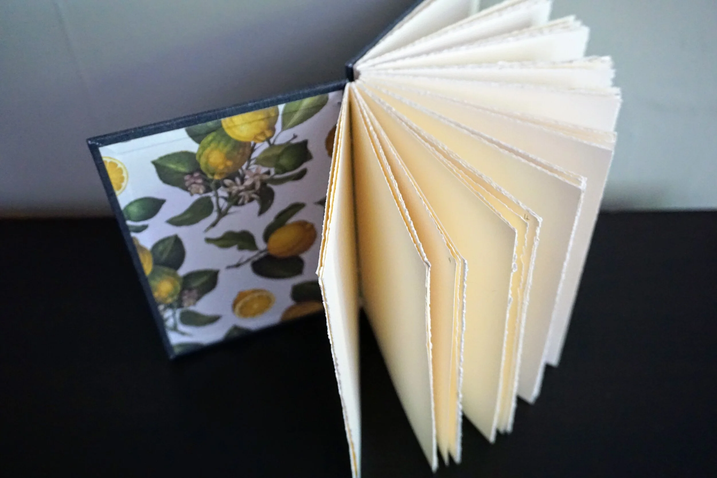 Watercolor Sketchbook with Lemon Print Paper