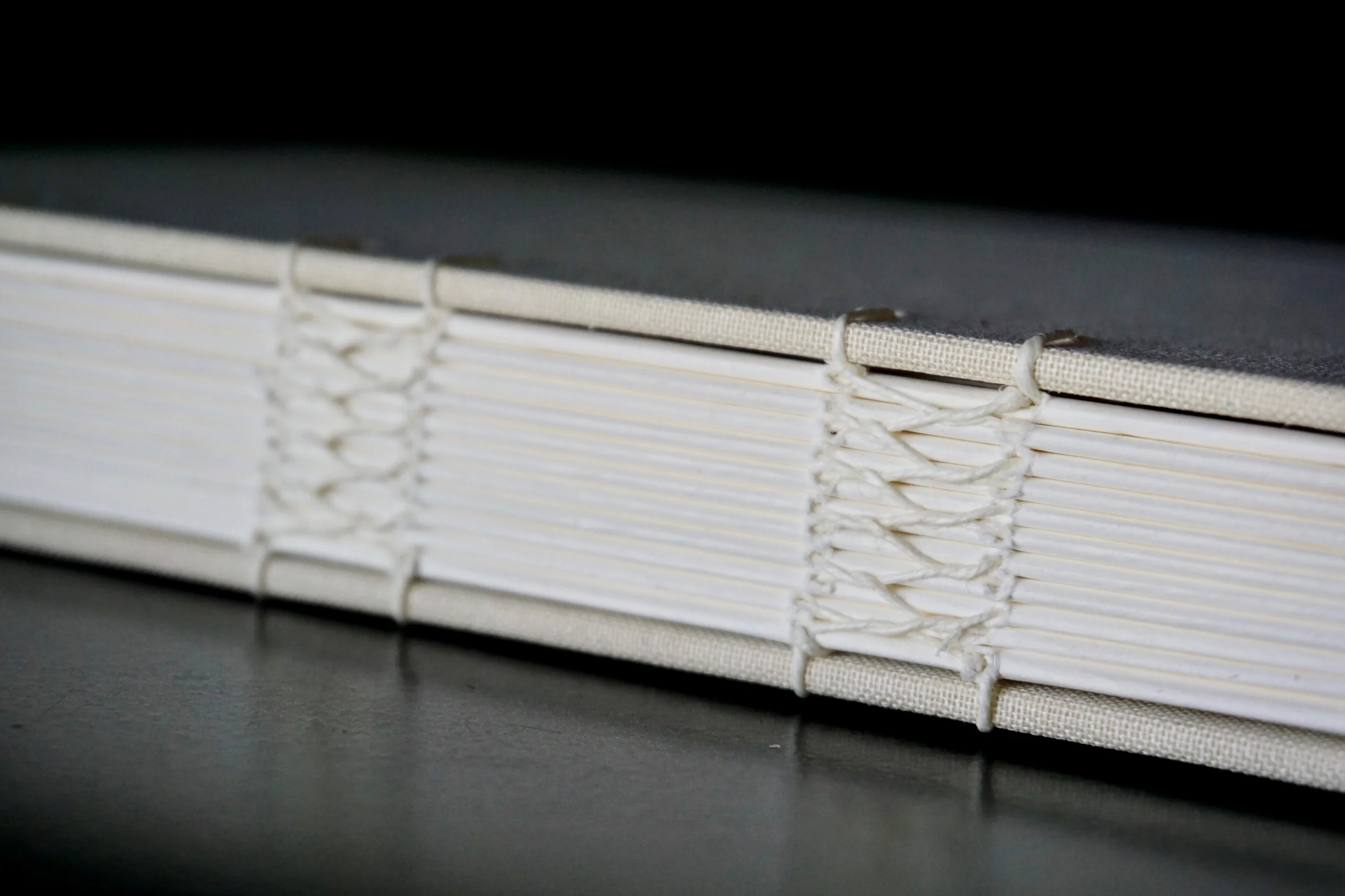 Coptic Binding with French Web Sewing