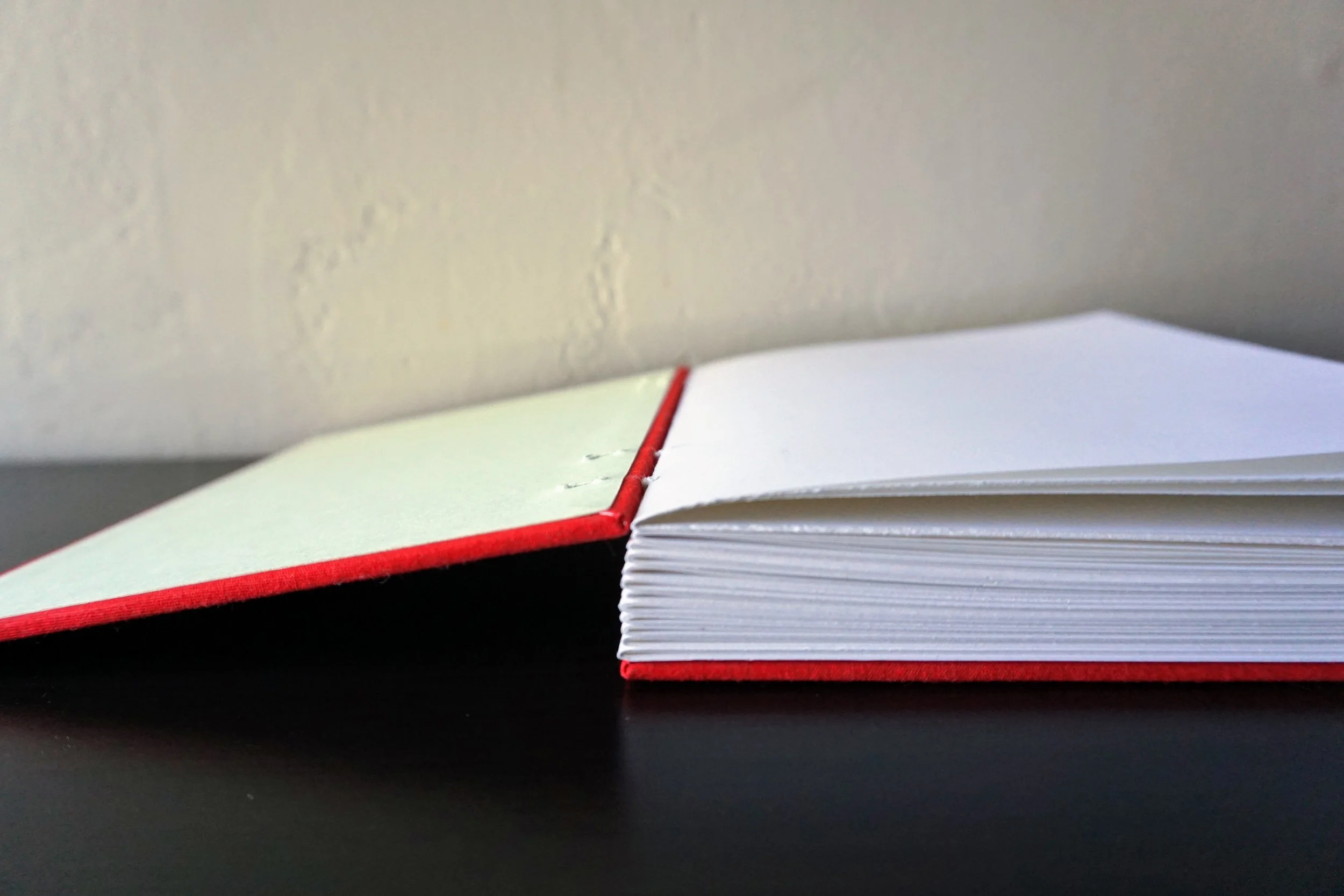 Red and Sea Foam Green Blank Journal