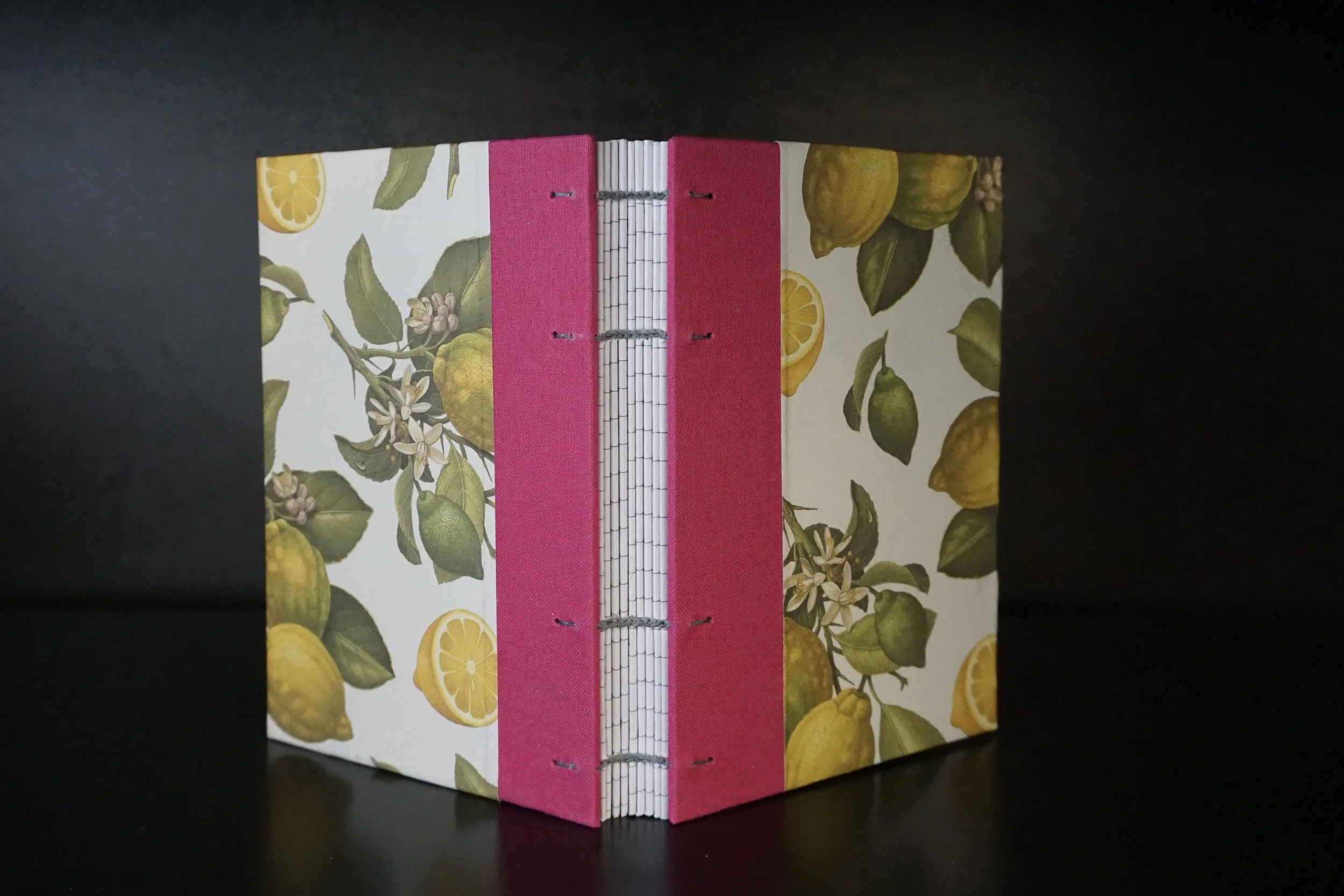 Small Pink and Lemon Lined Notebook