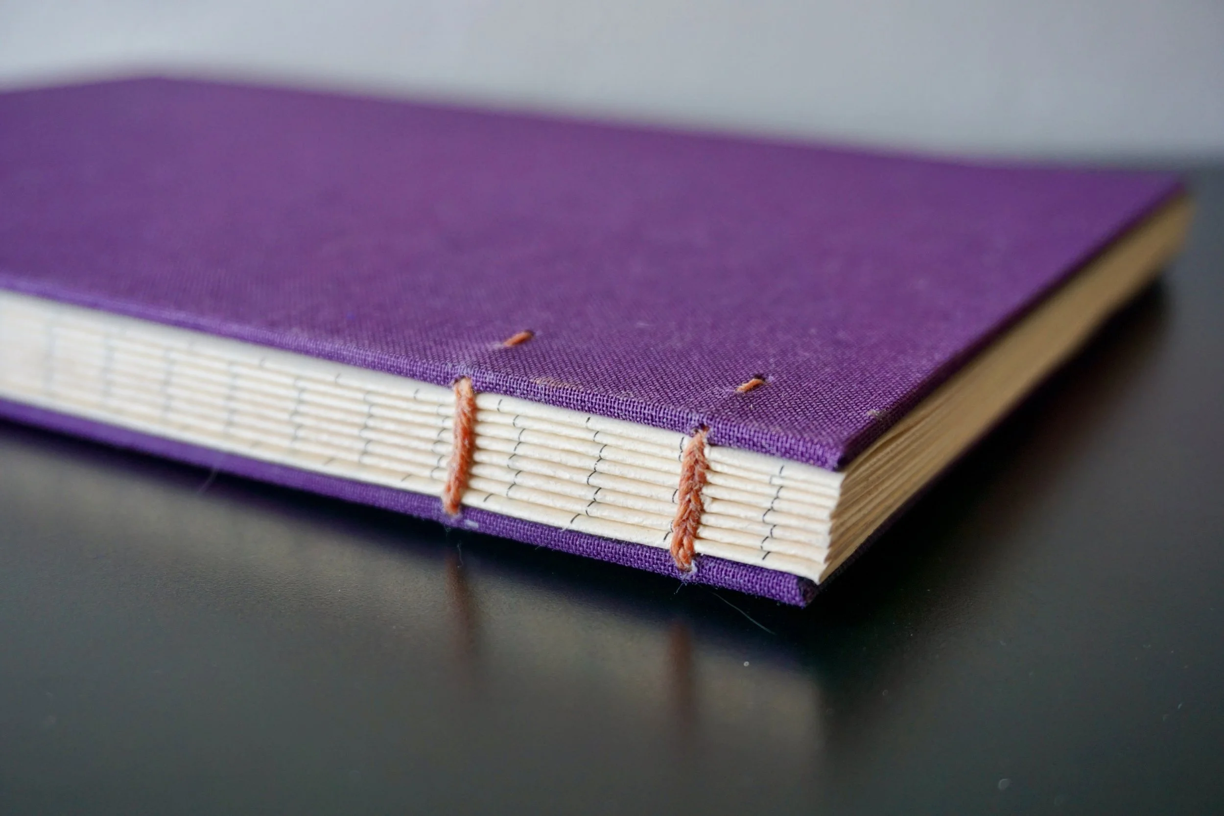 DSC08213_Original 2.jpg